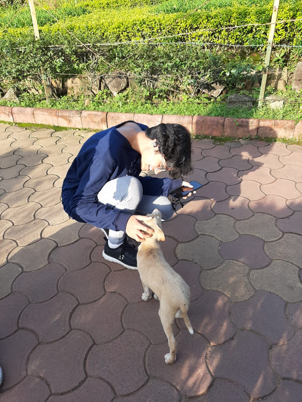 image-4