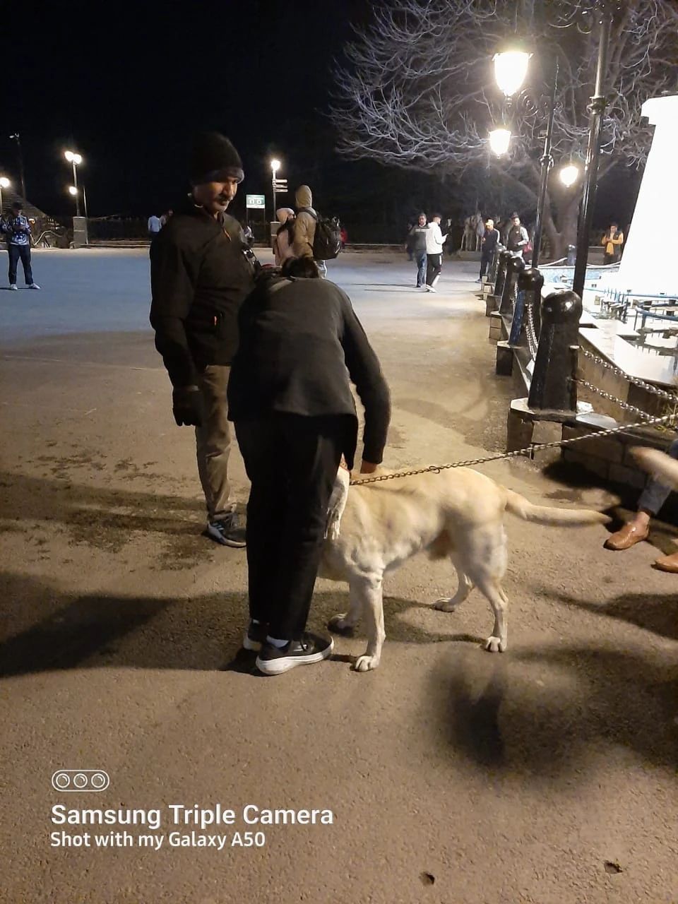 image-7