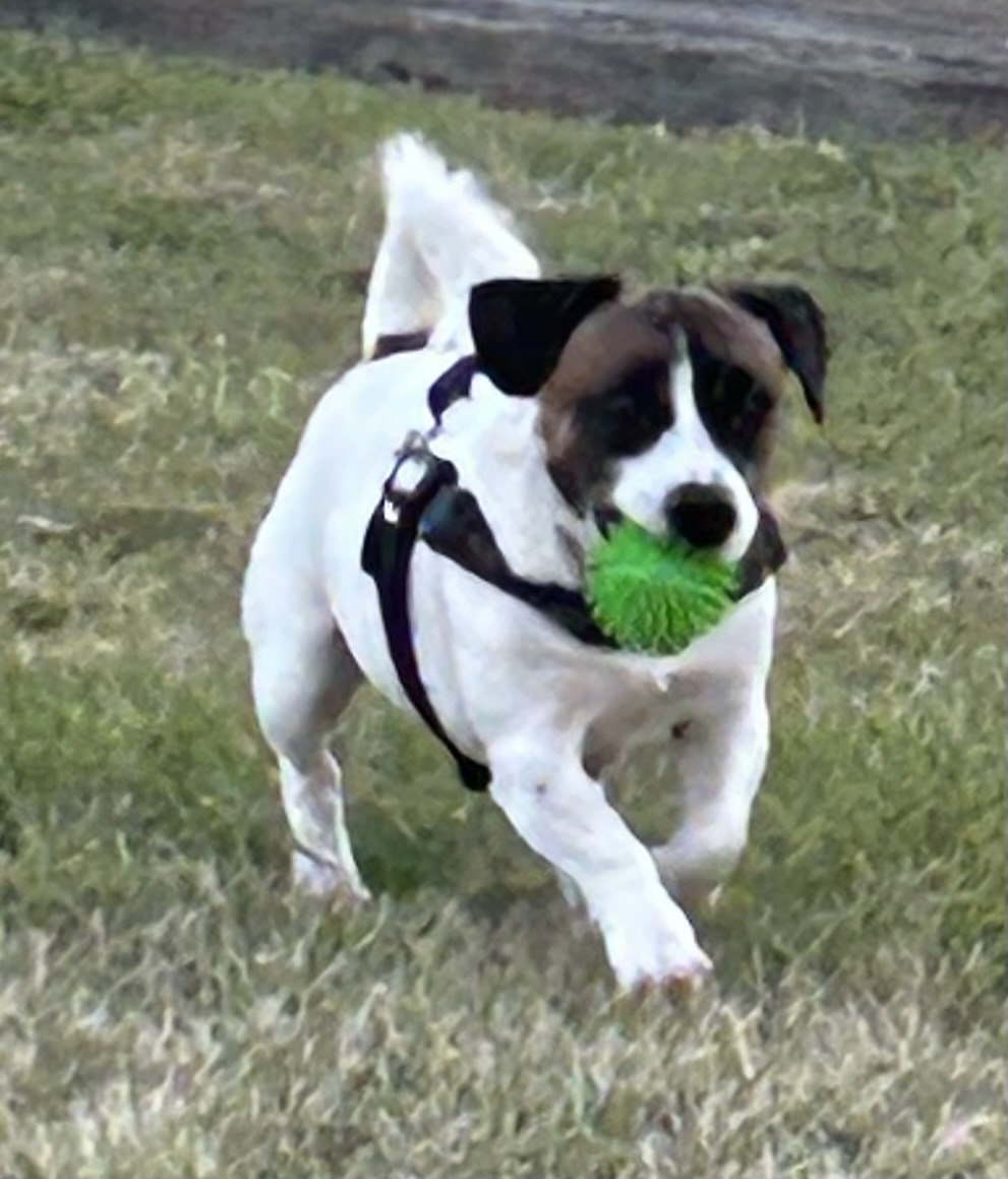 image-6