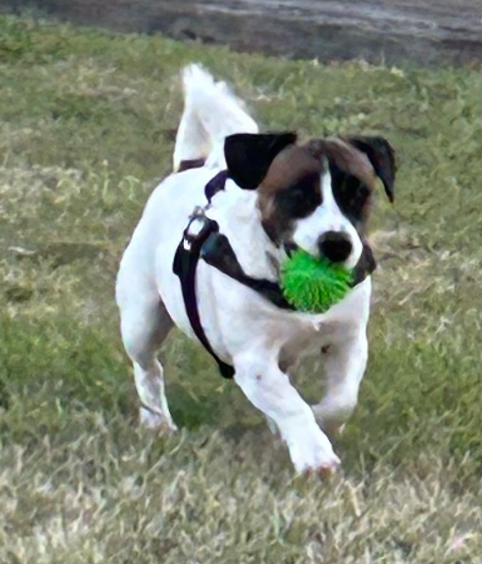 image-6