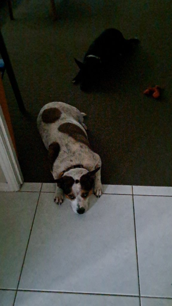 image-7
