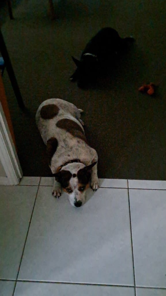 image-7