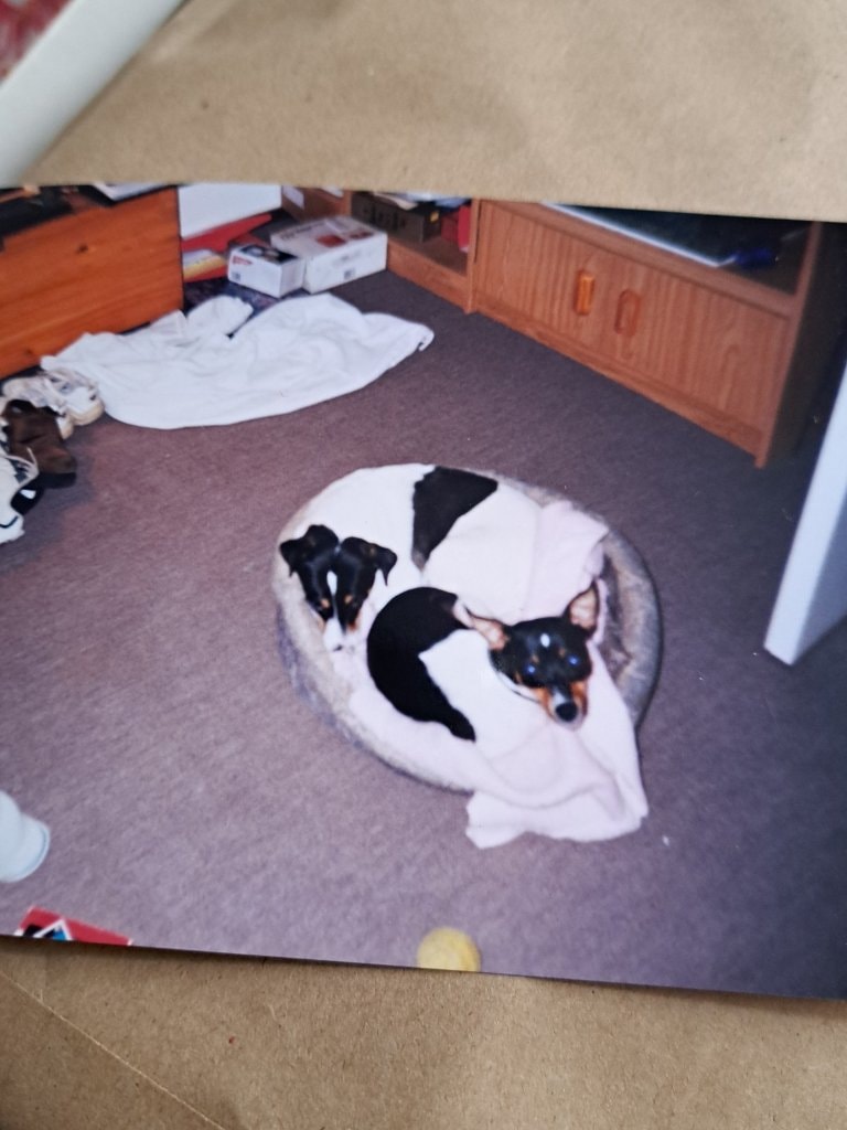 image-3