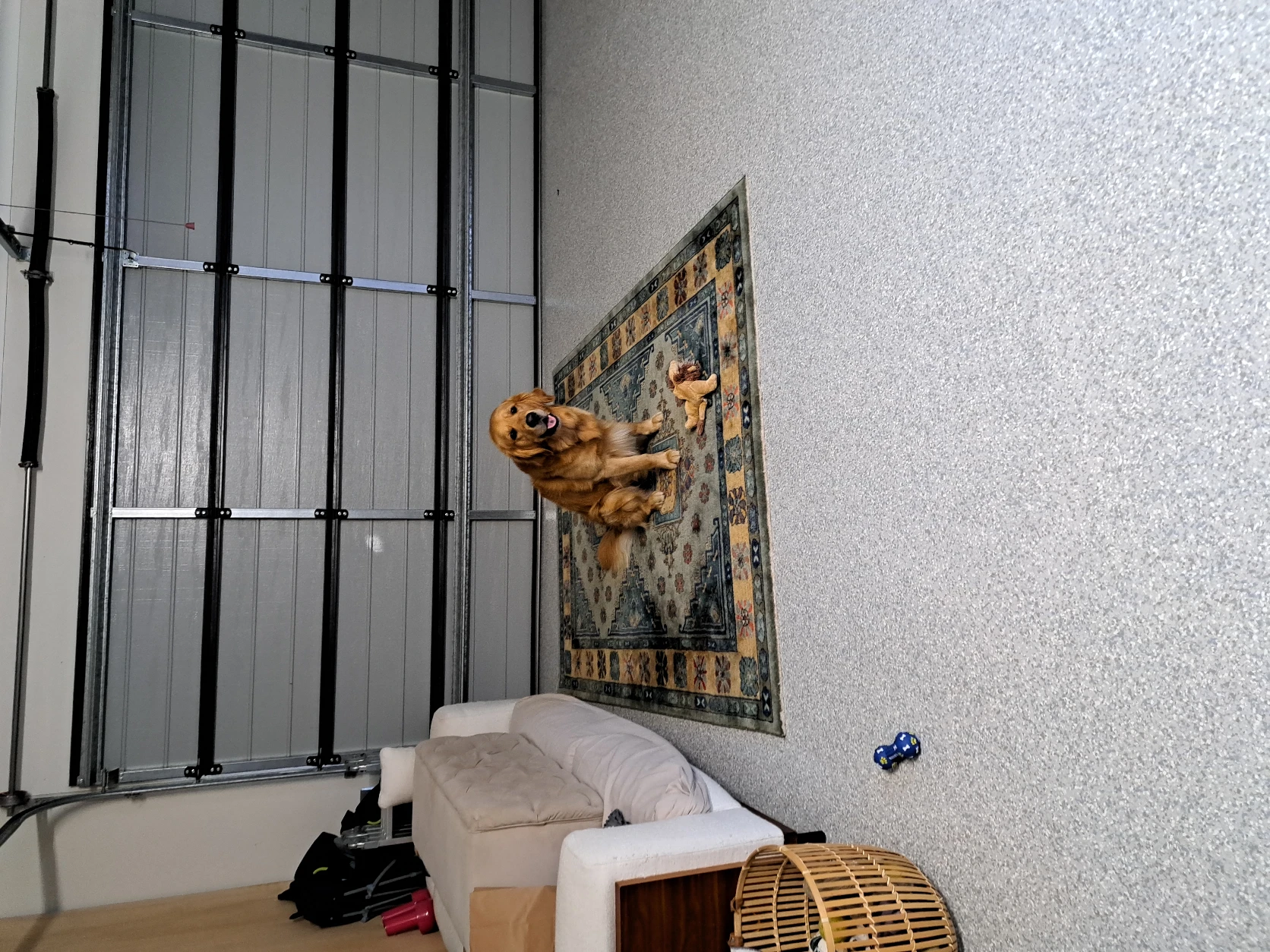 image-14