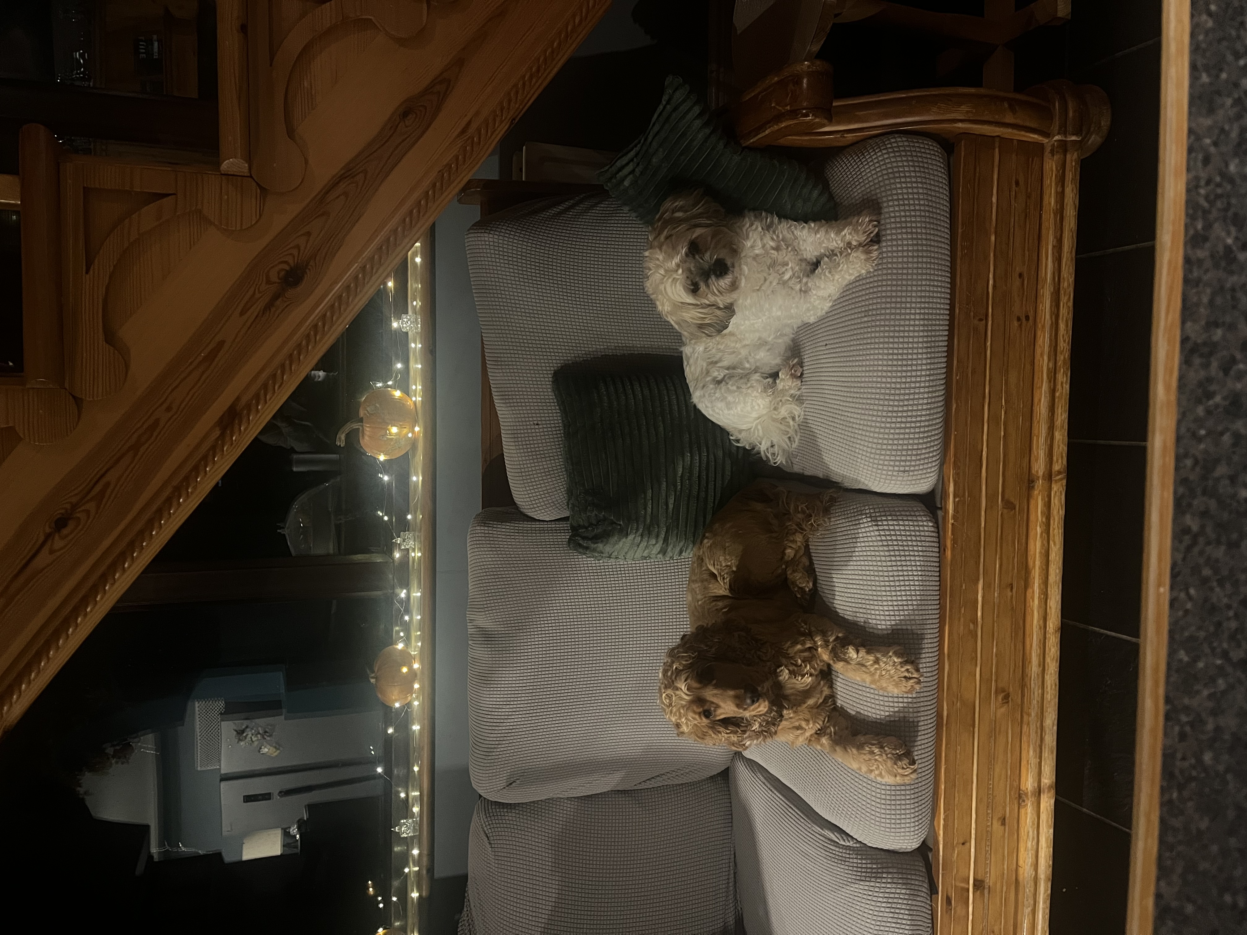 image-9
