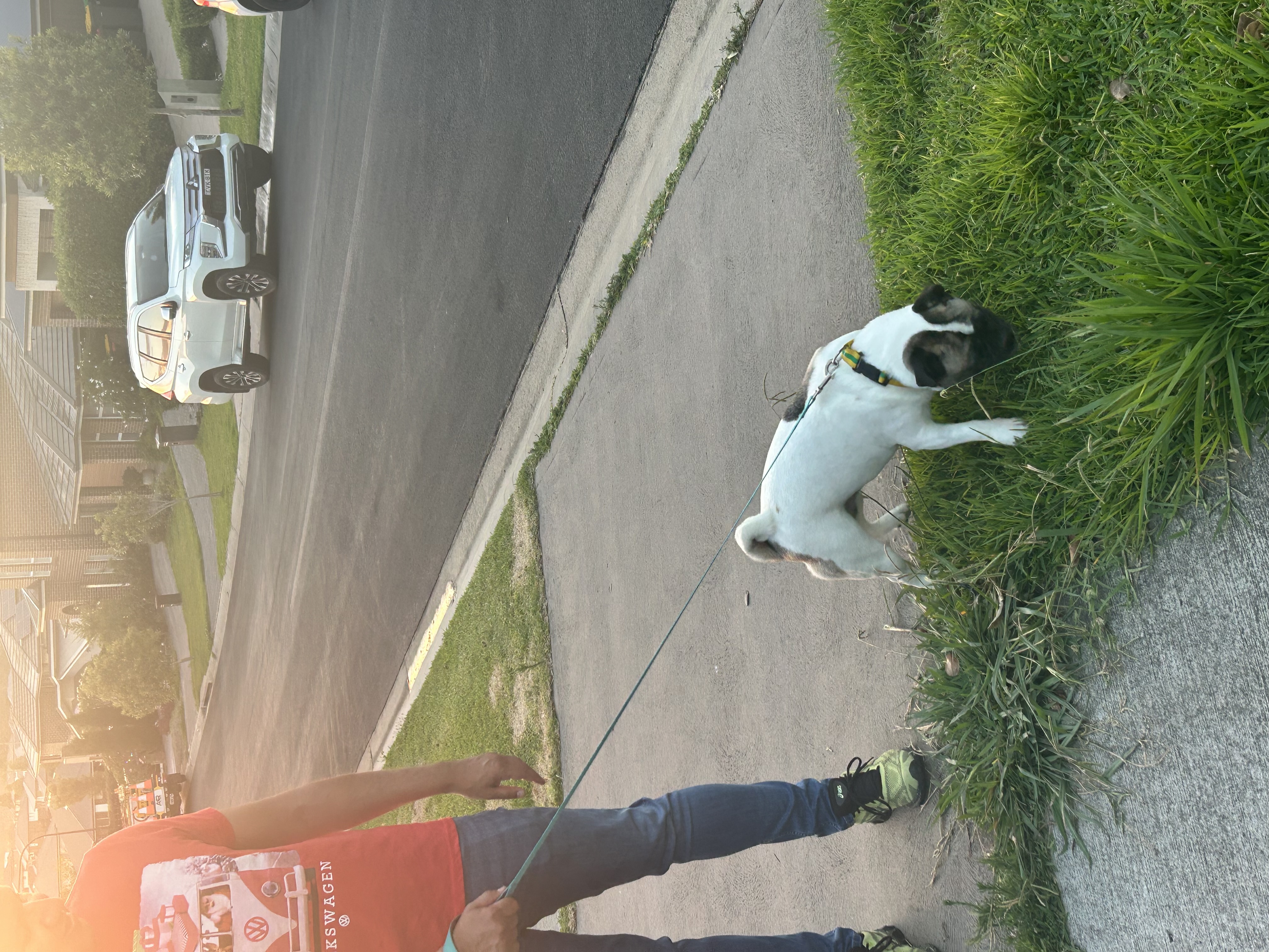 image-7