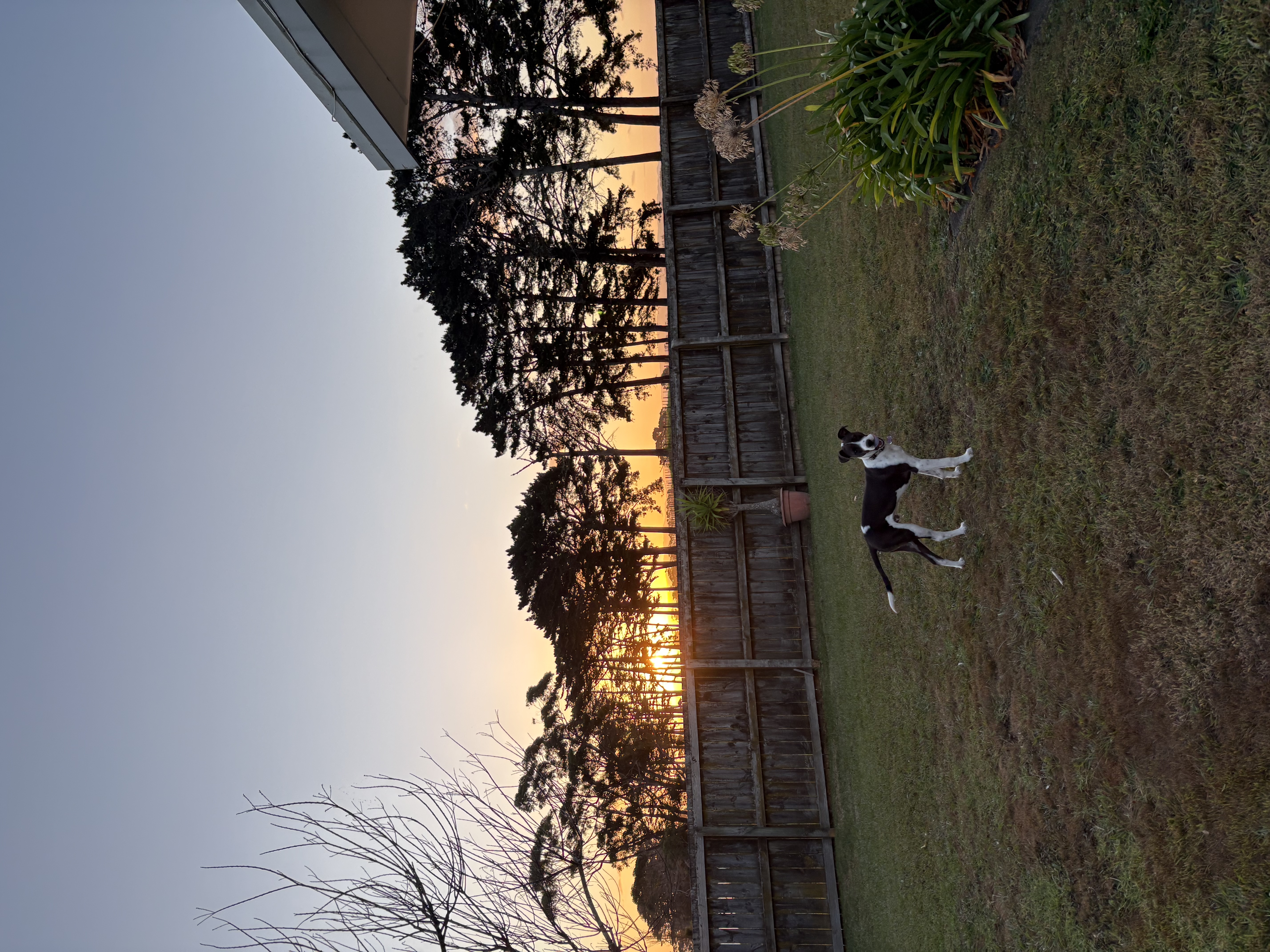 image-14