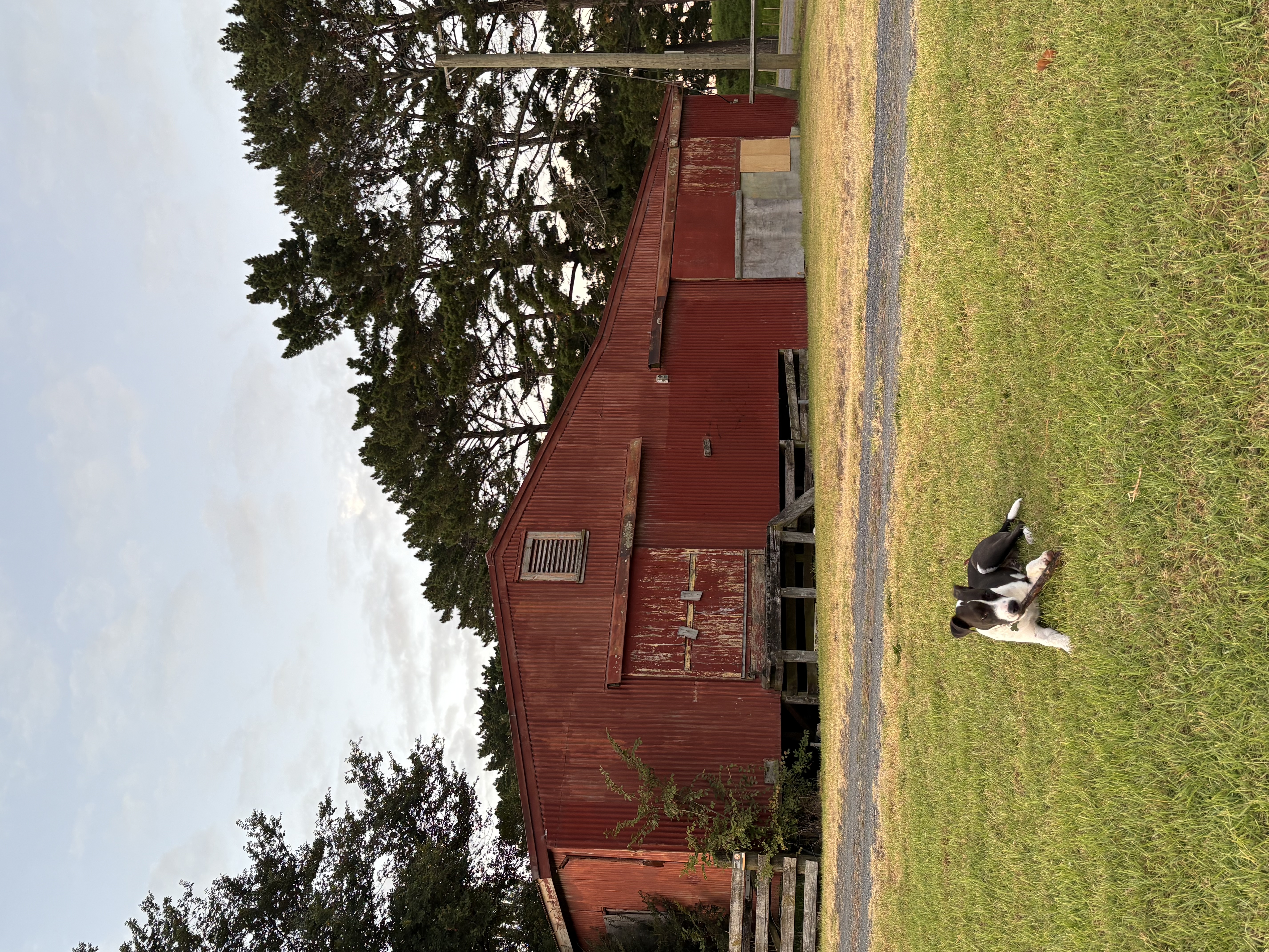 image-11