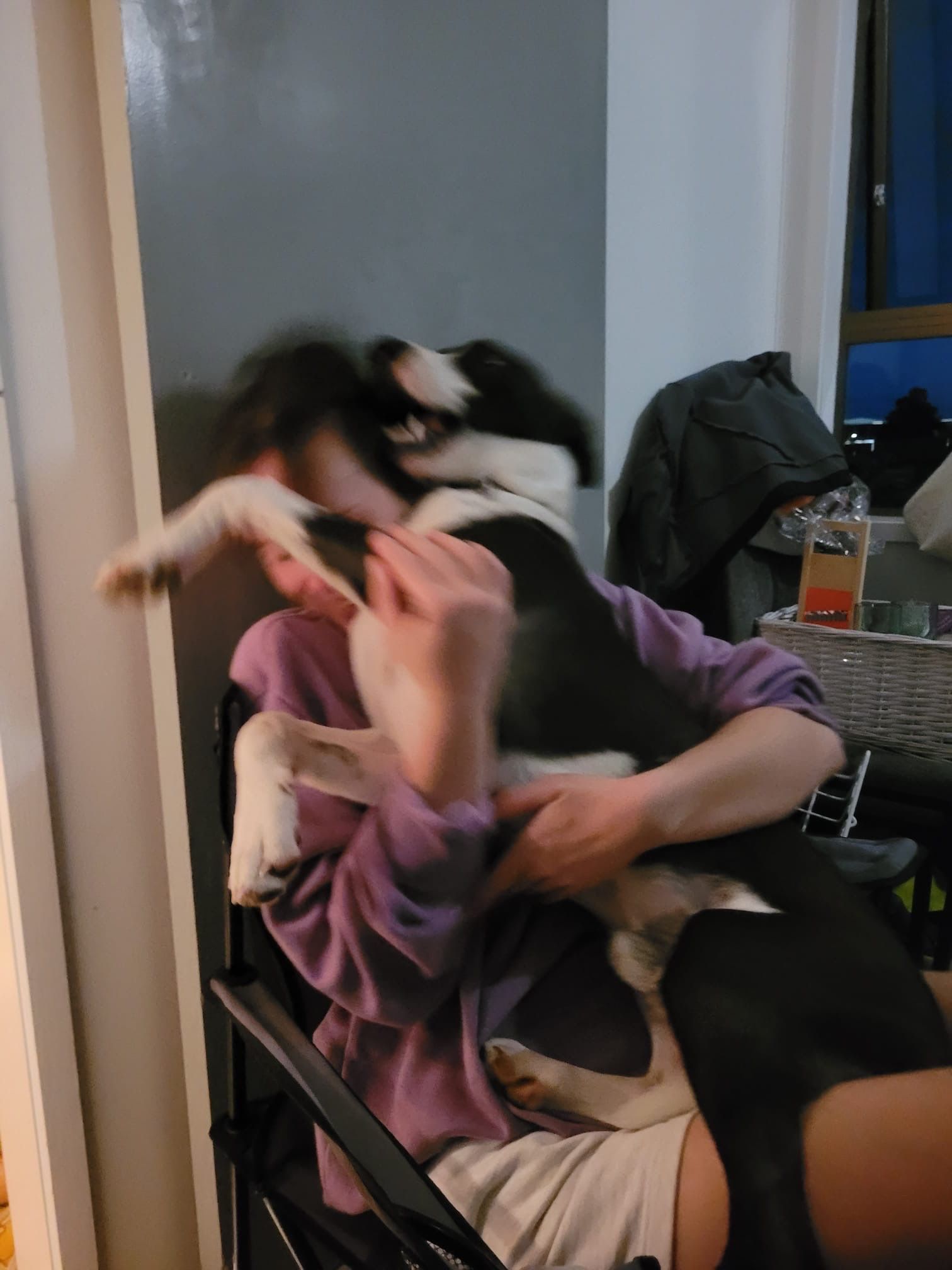 image-4