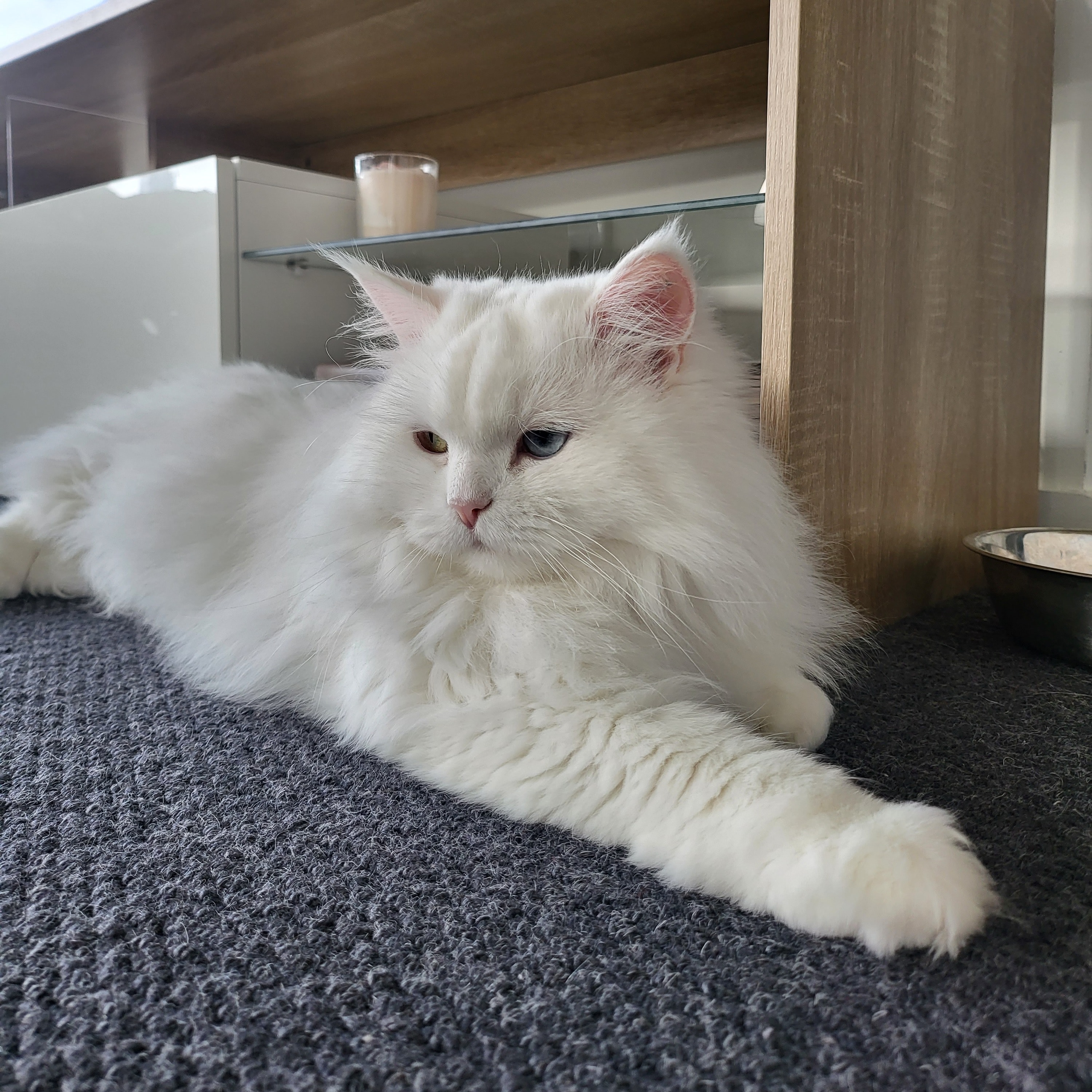 Misha