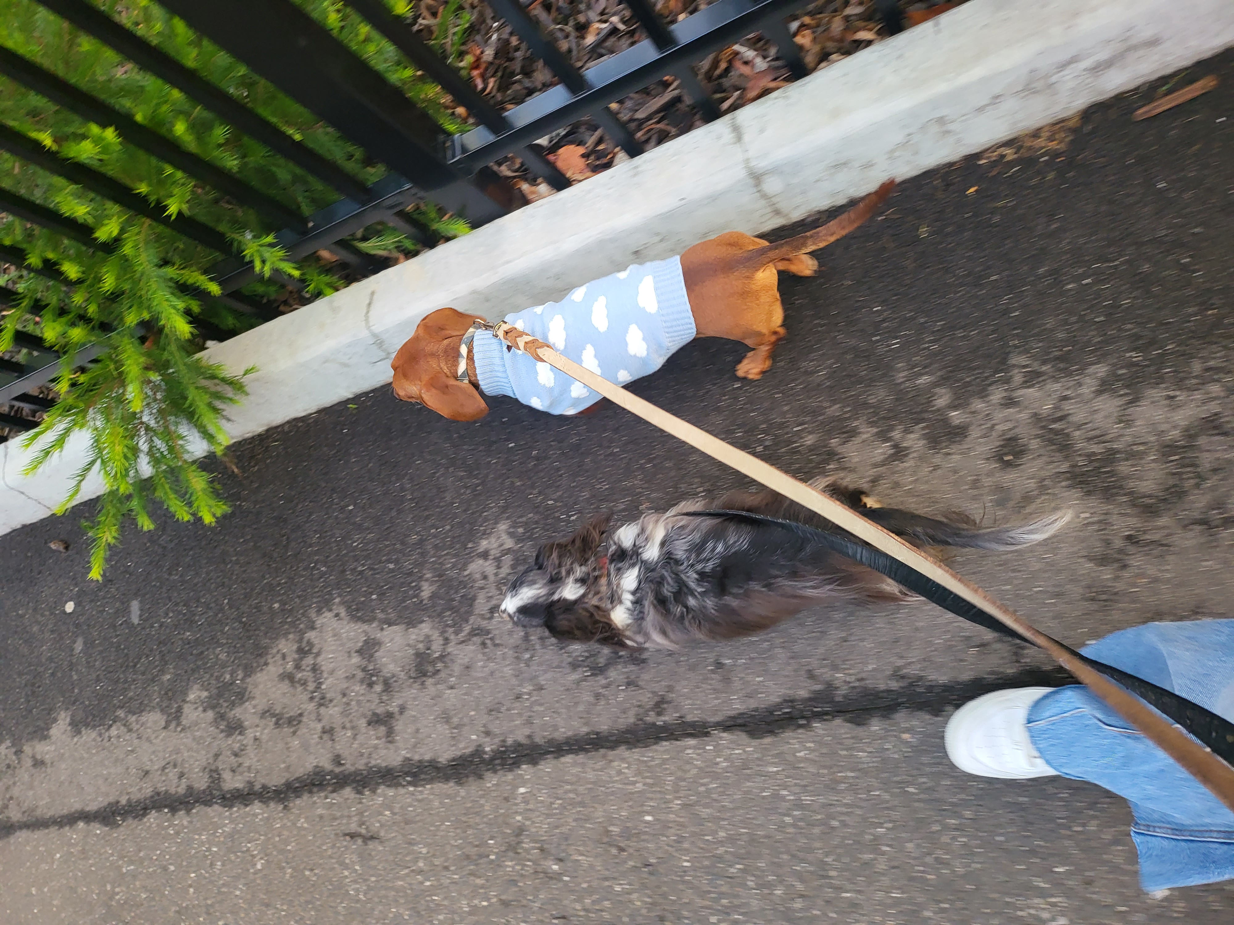 image-9