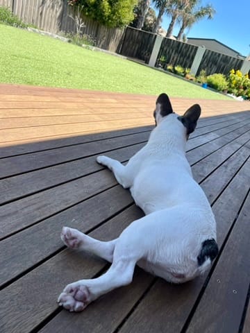 image-29