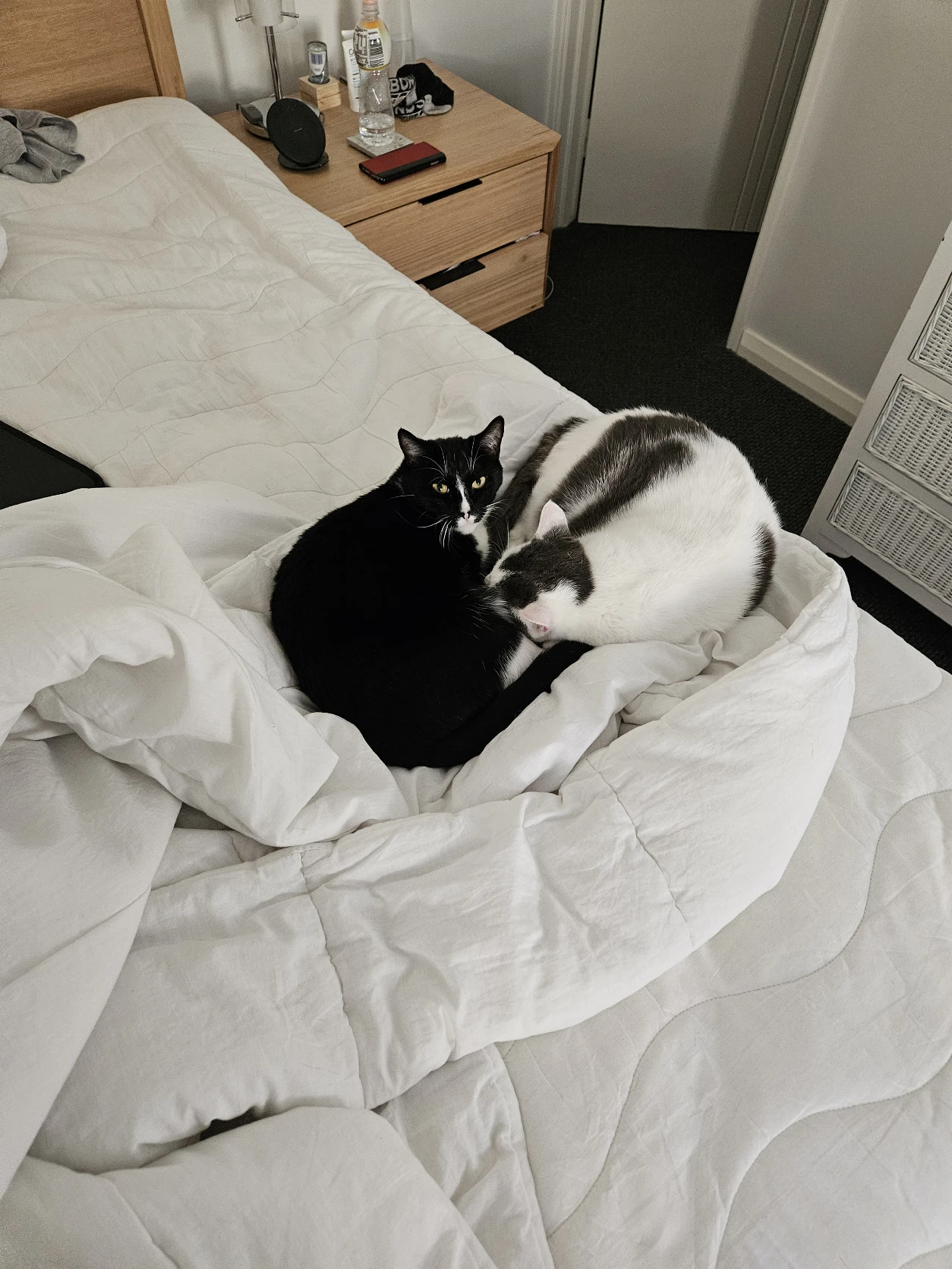 image-7