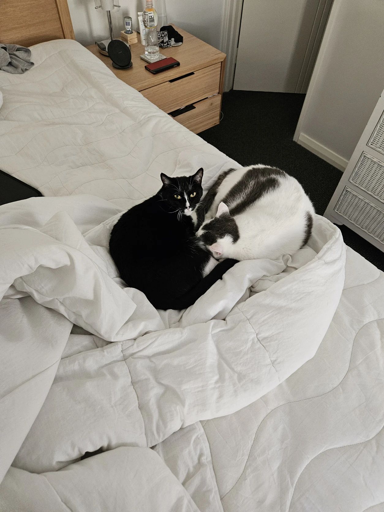 image-7