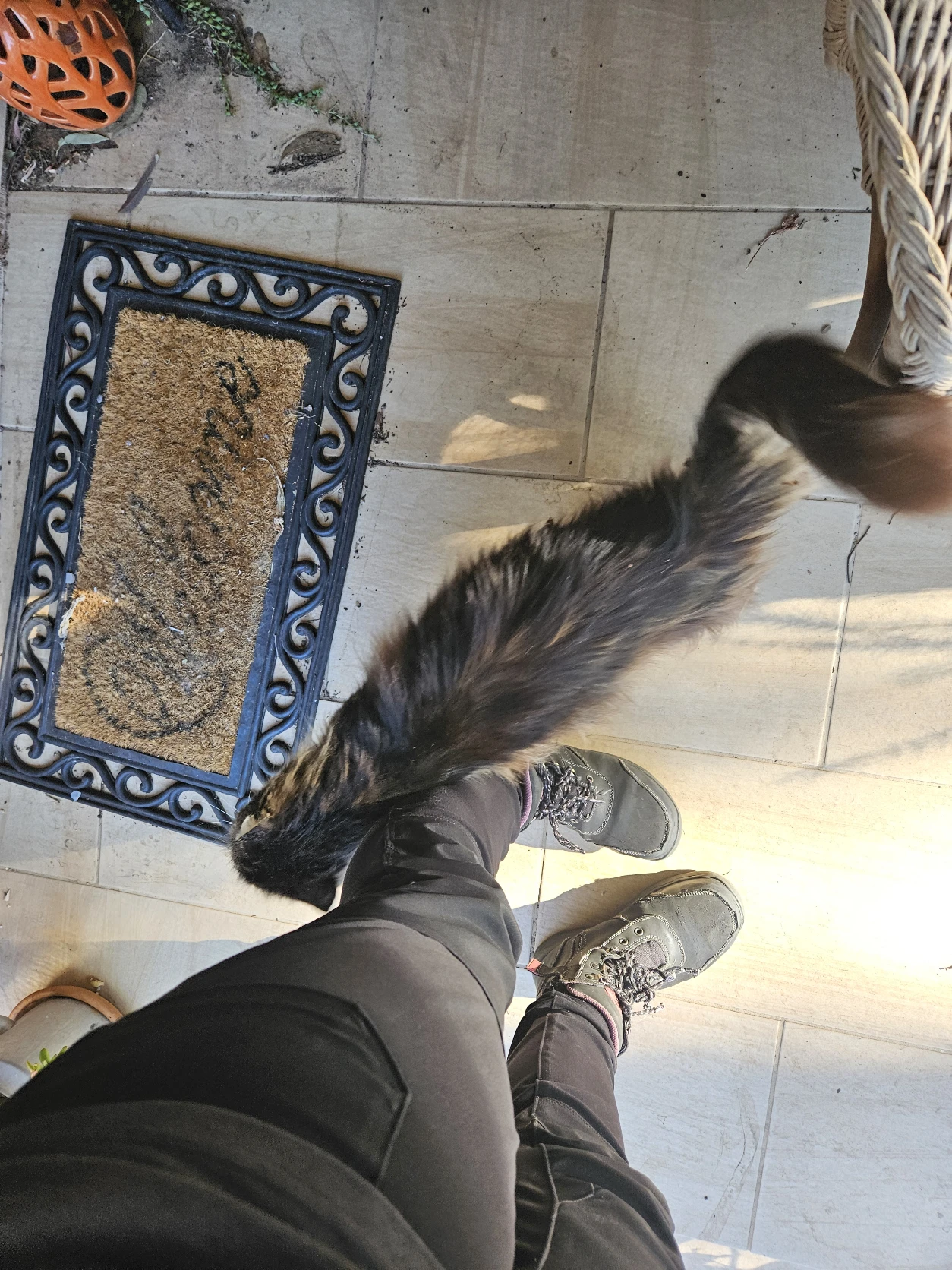 image-9