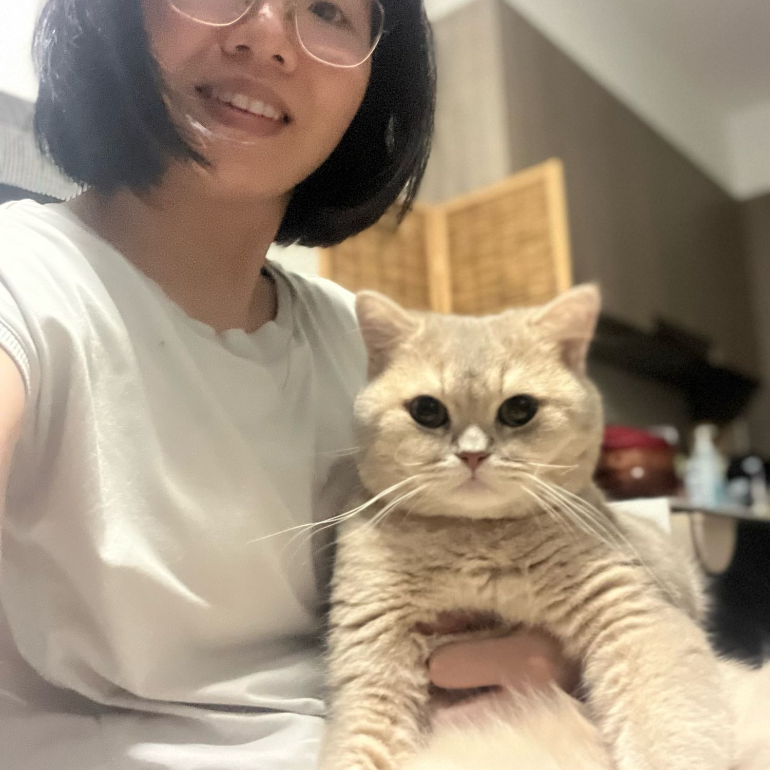 Mochi
