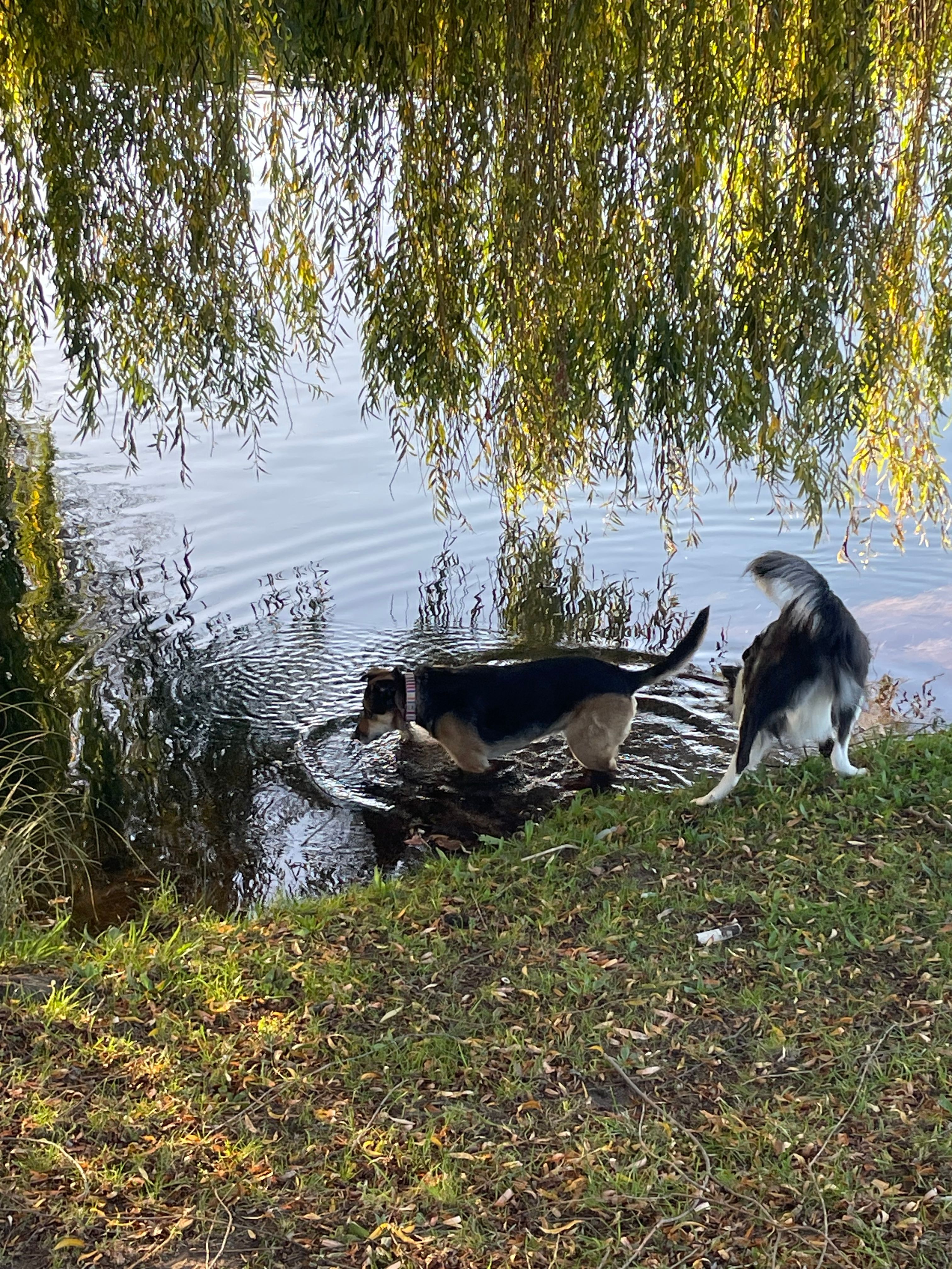 image-5