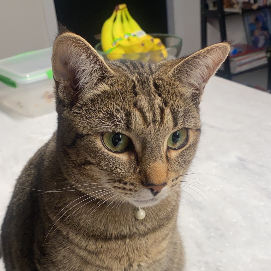 Milo