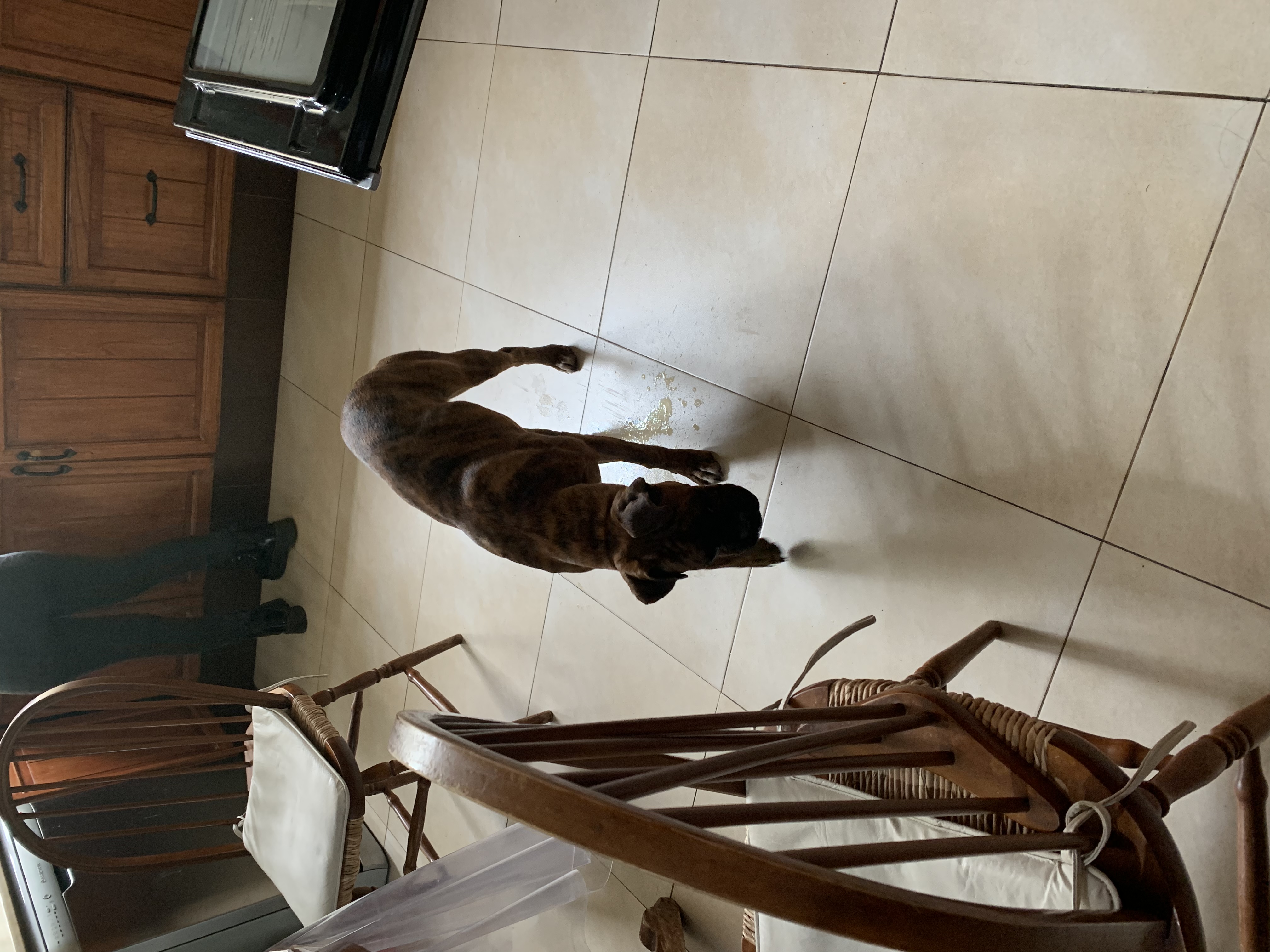 image-19