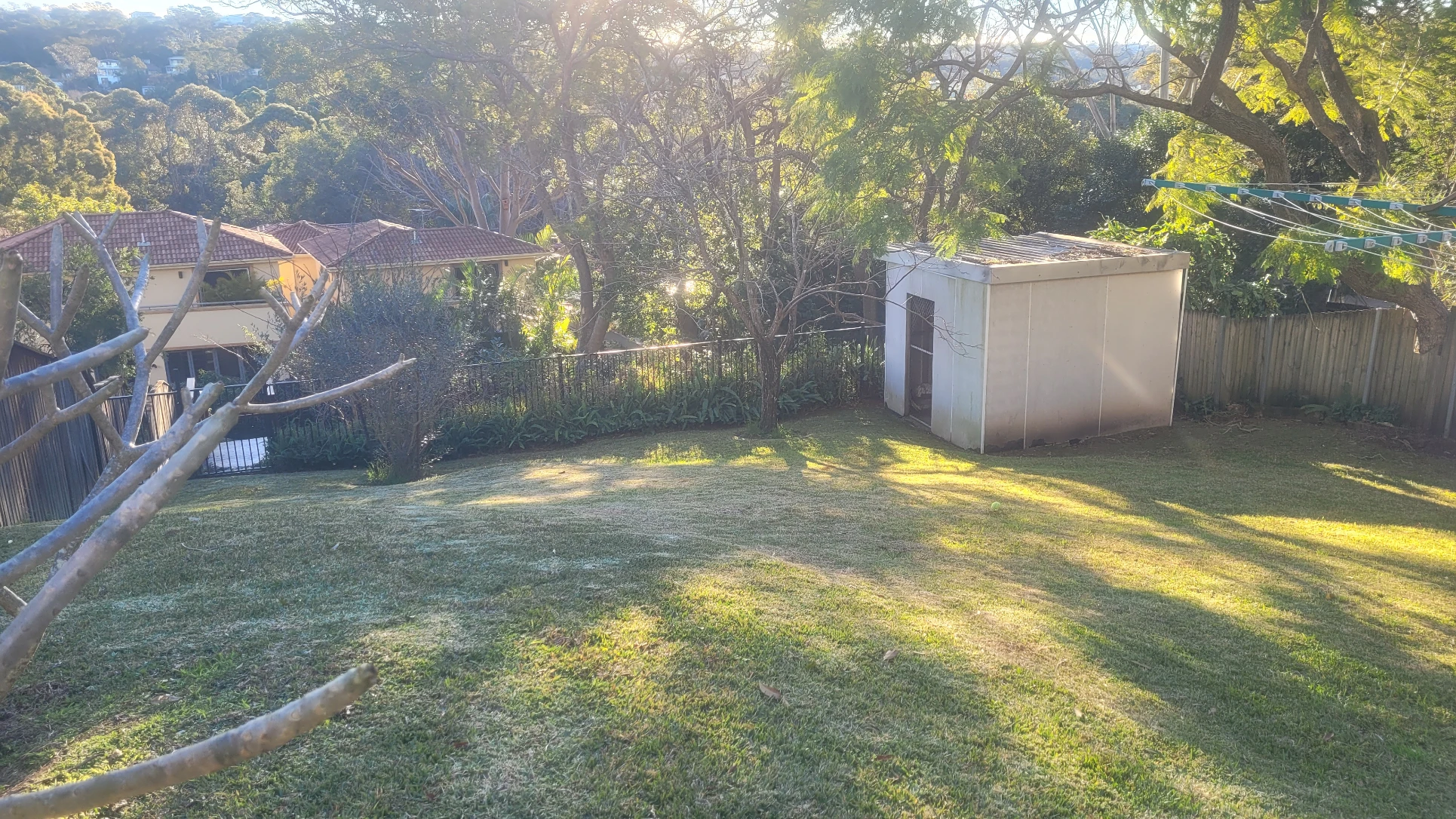 image-6