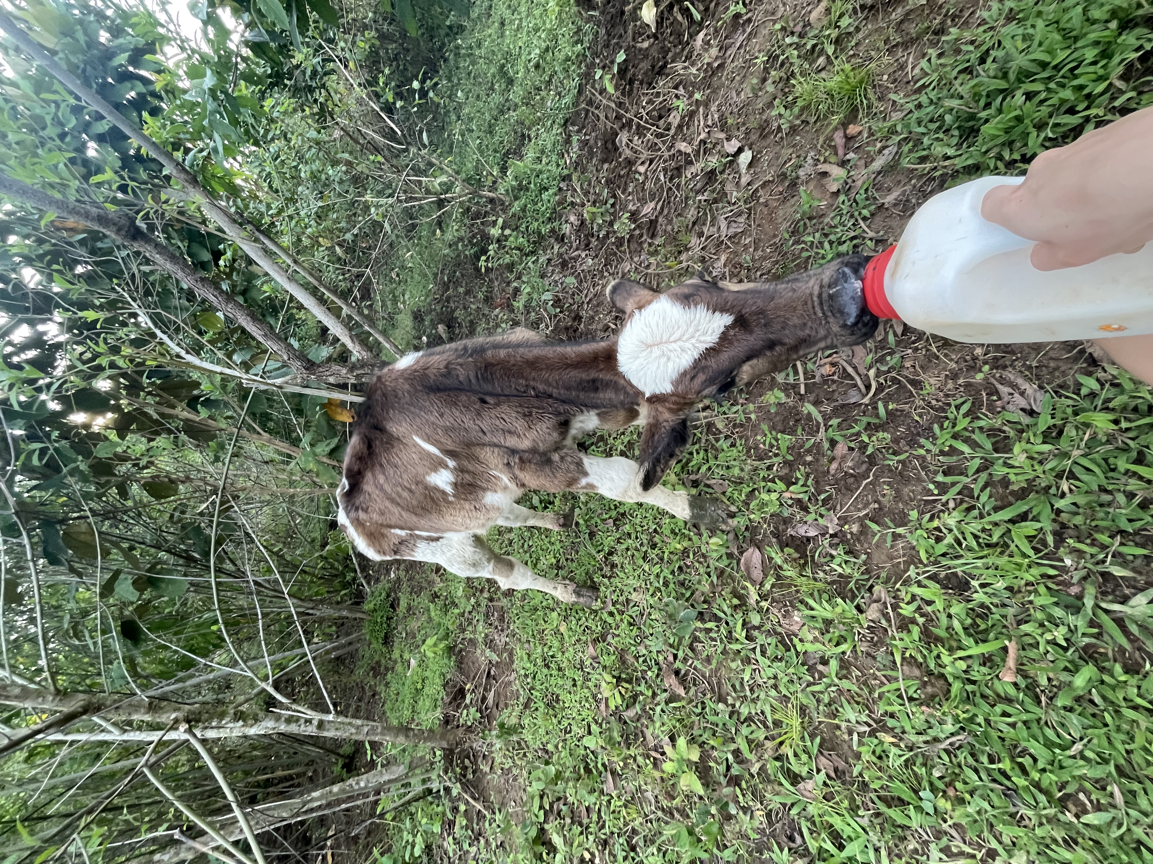 image-3