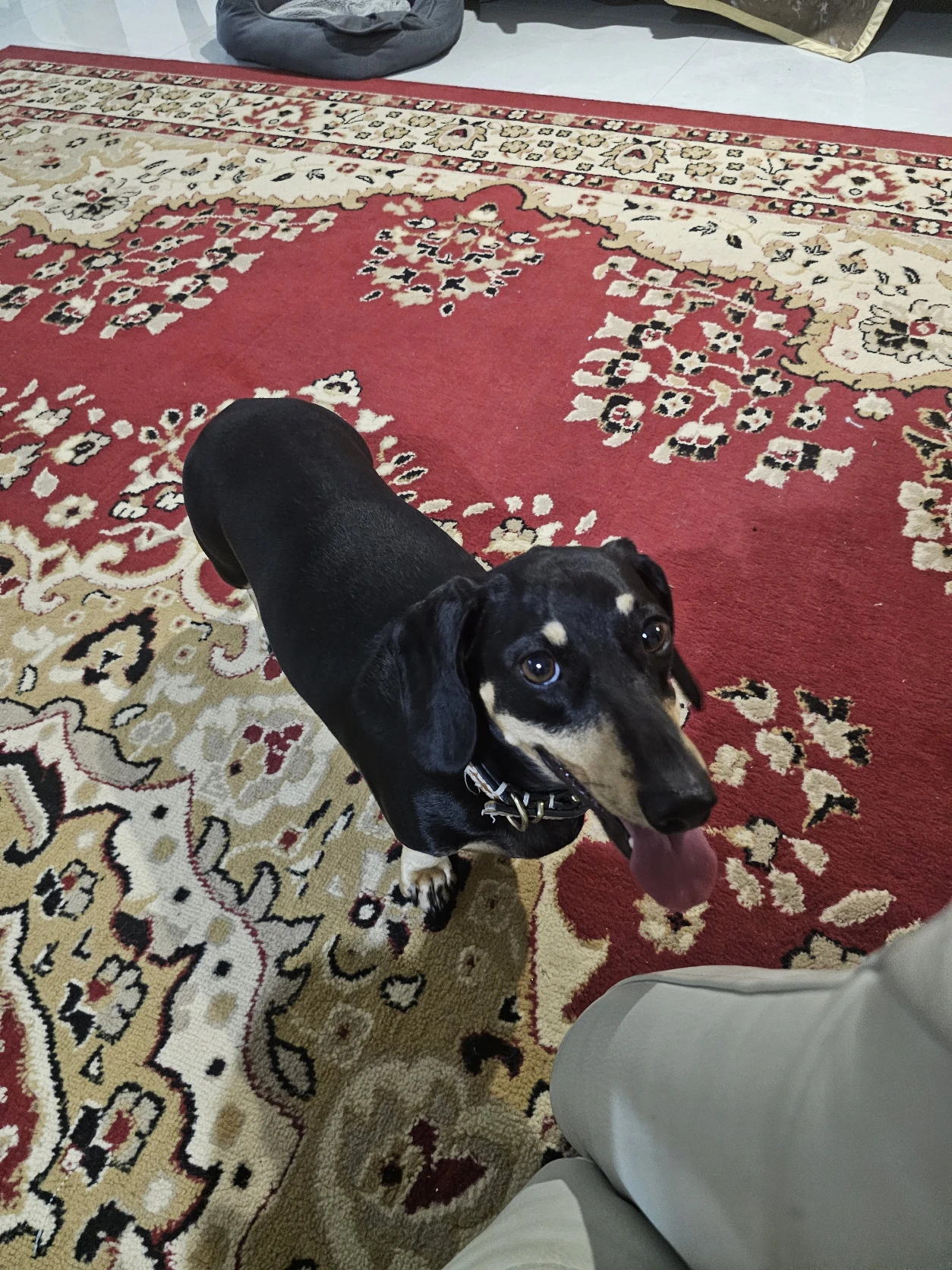 image-5