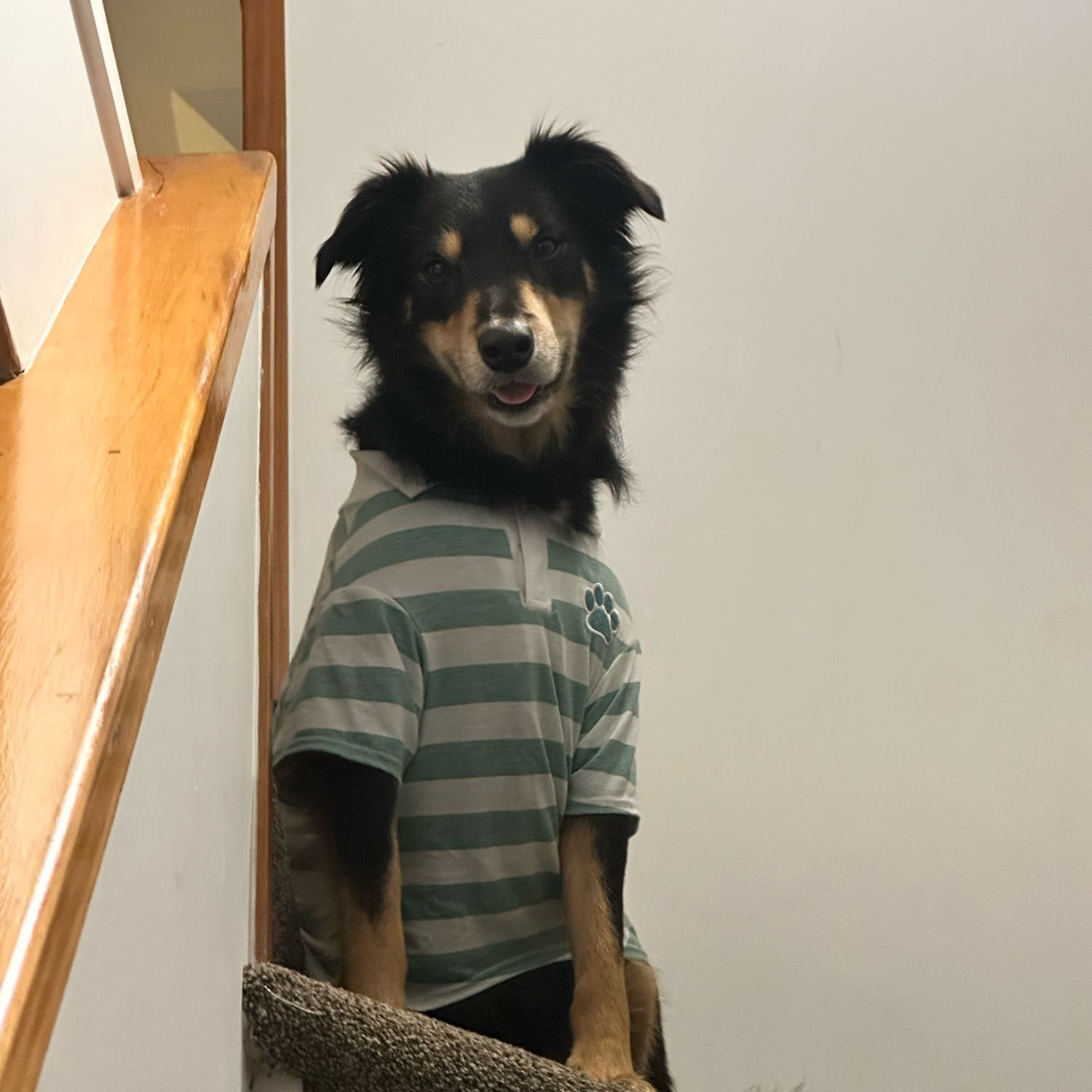 Leo