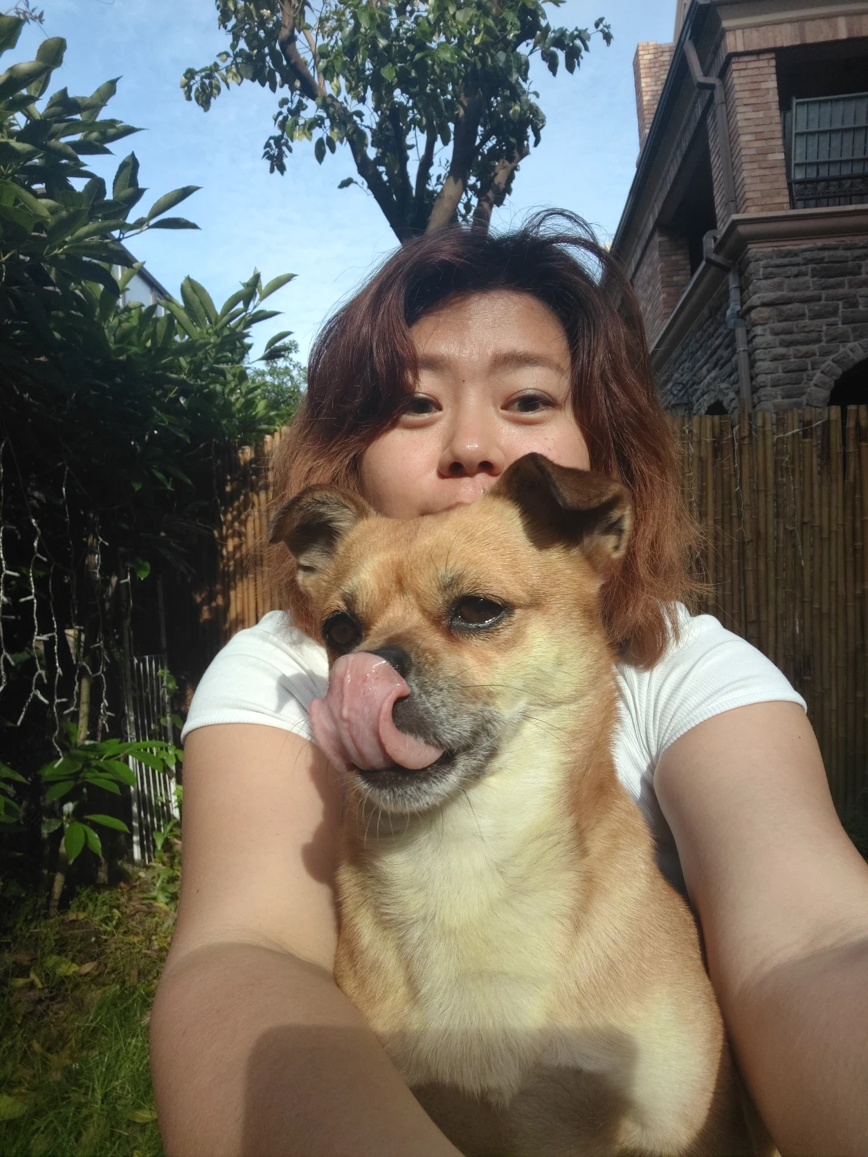 image-10
