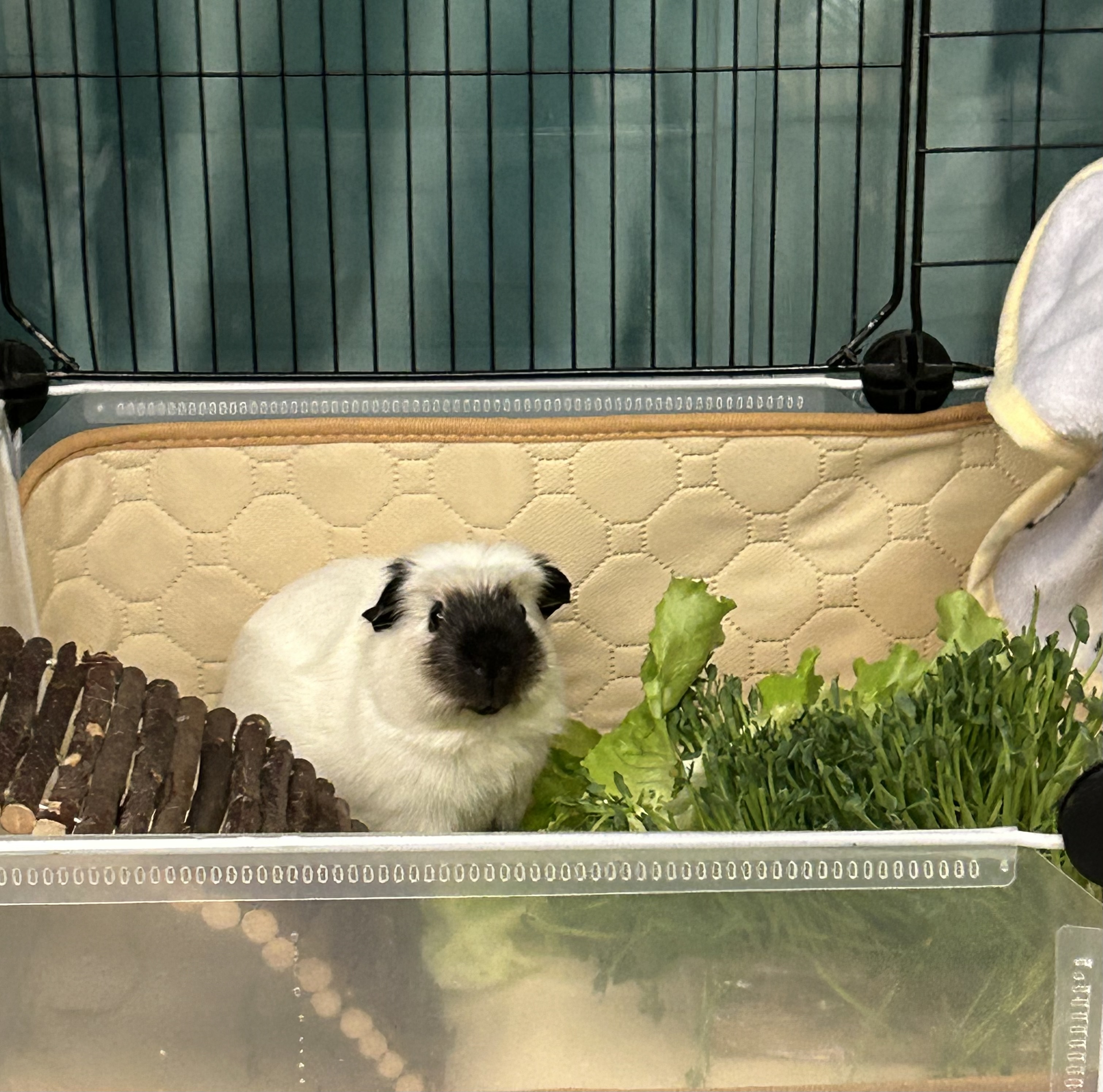 image-16