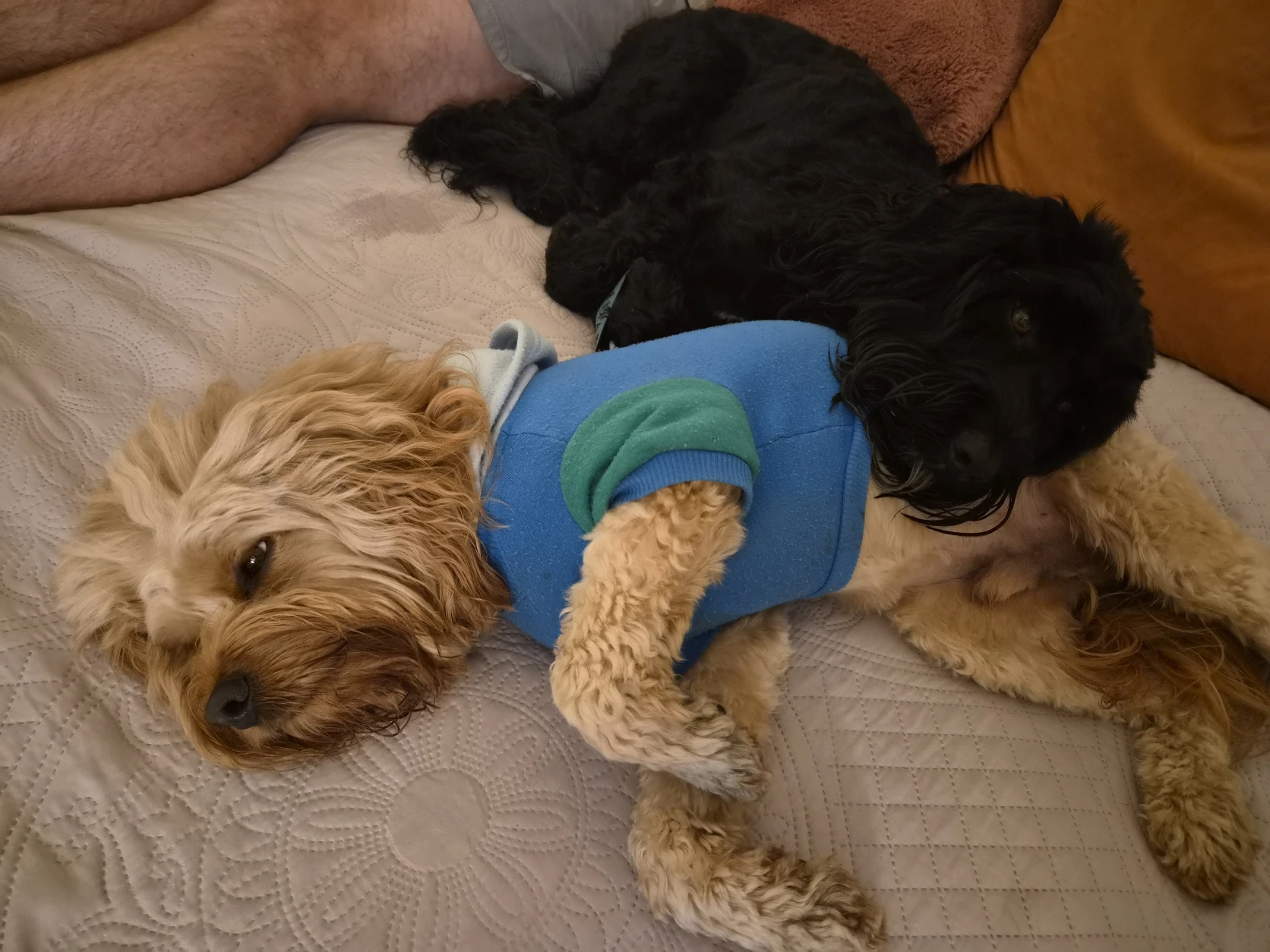 image-5