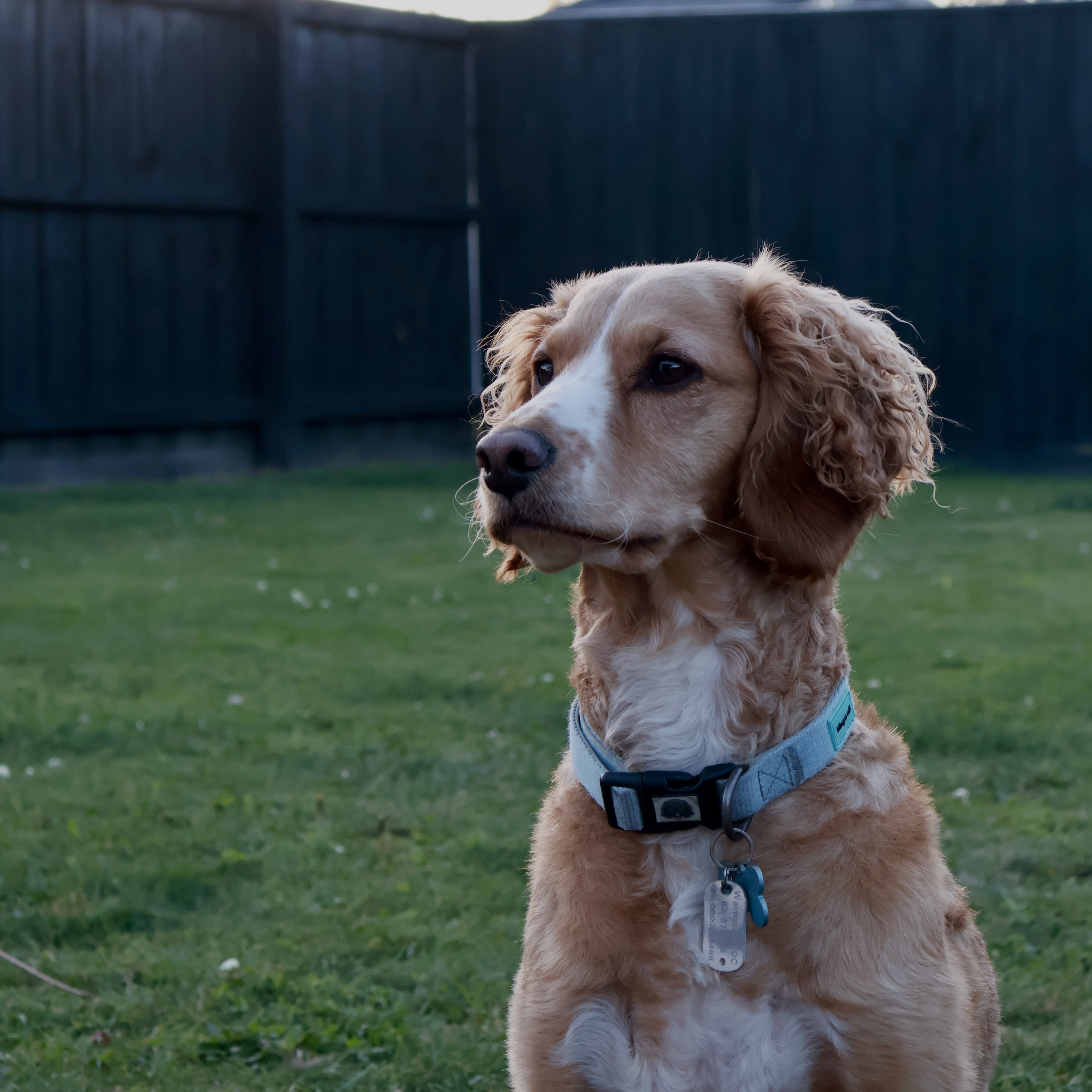 Winnie 