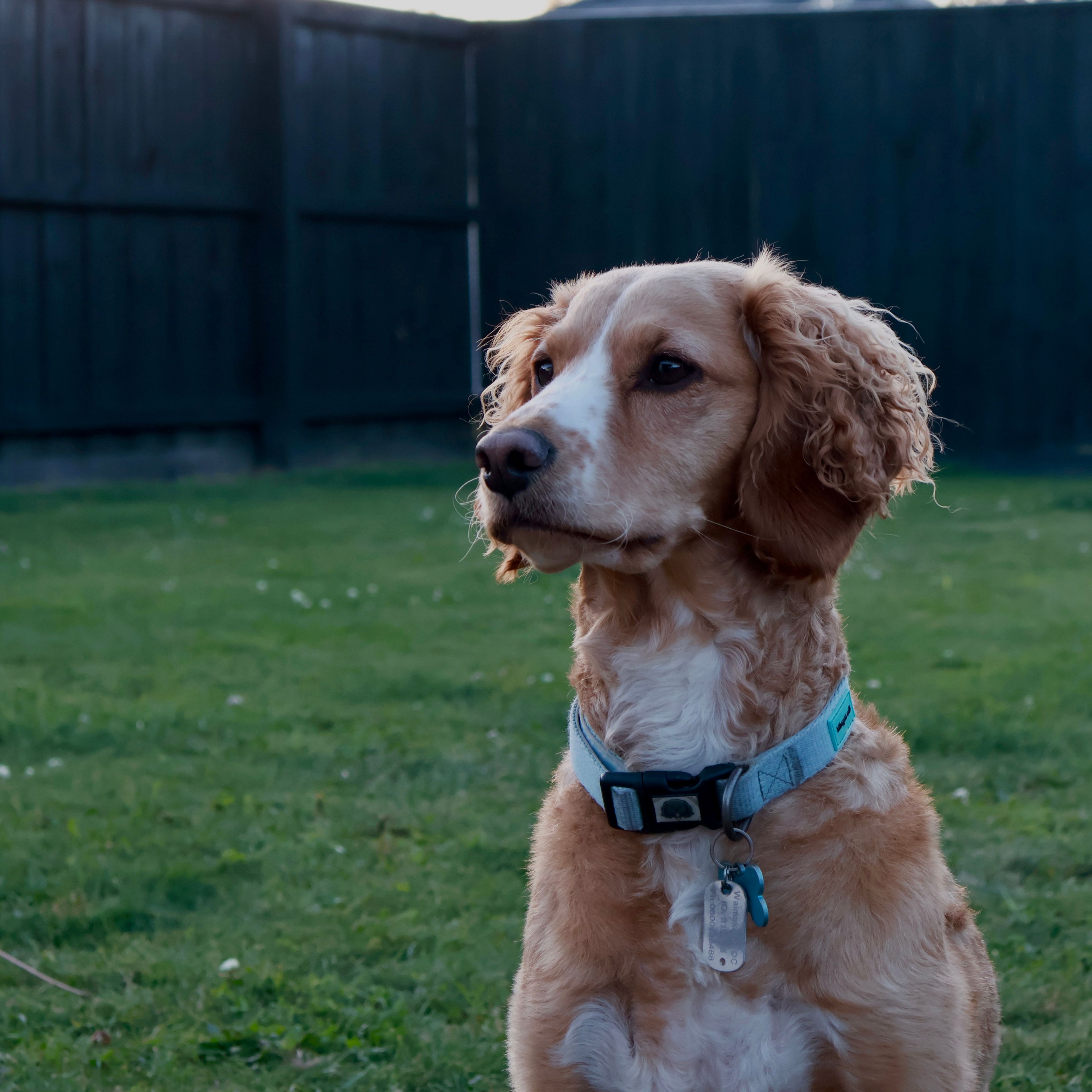 Winnie