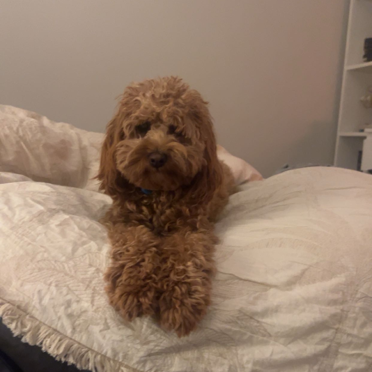 winnie