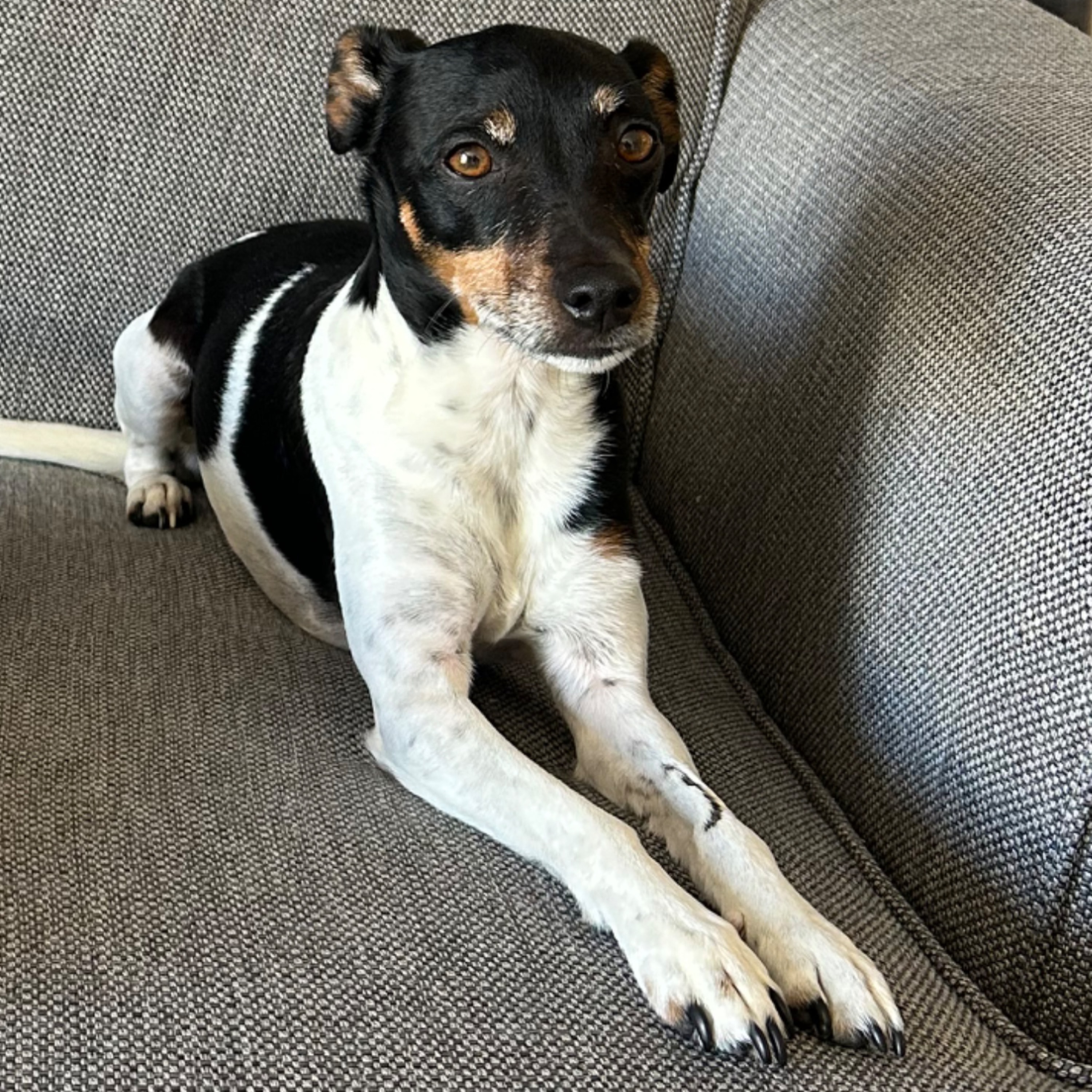 Millie 