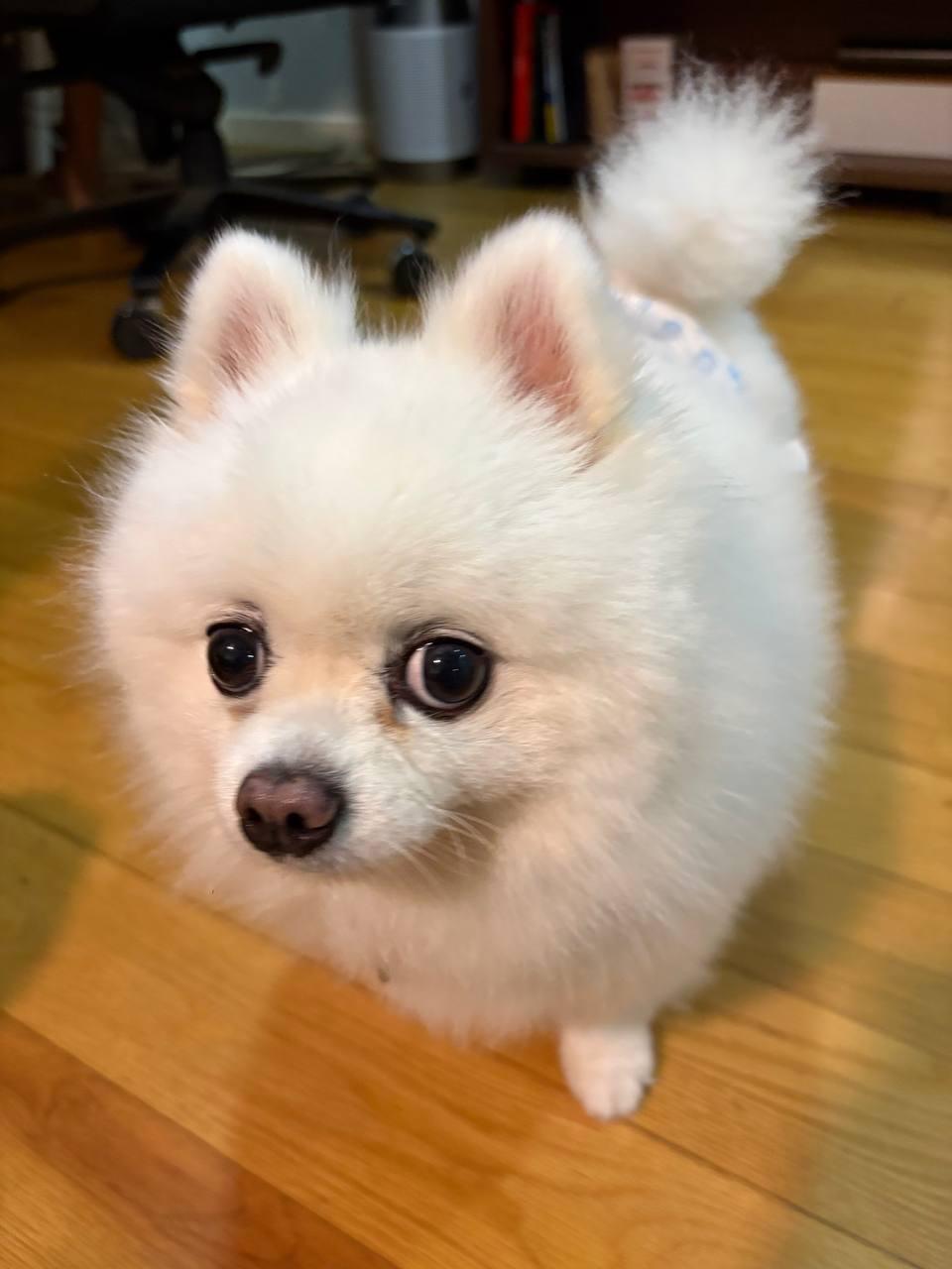 image-5
