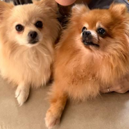 Sydney and Paris