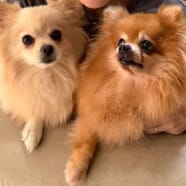 Sydney and Paris