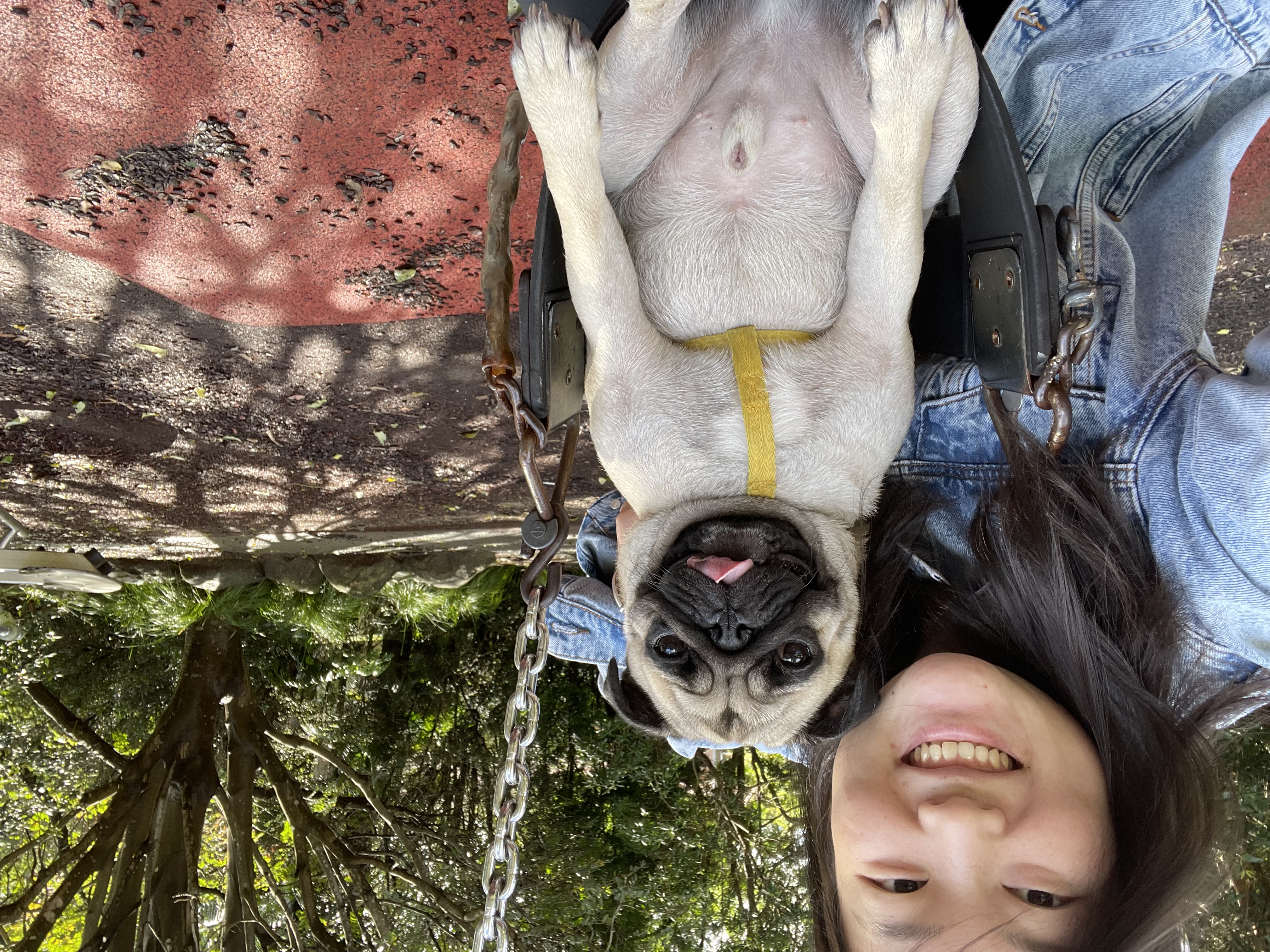 image-5