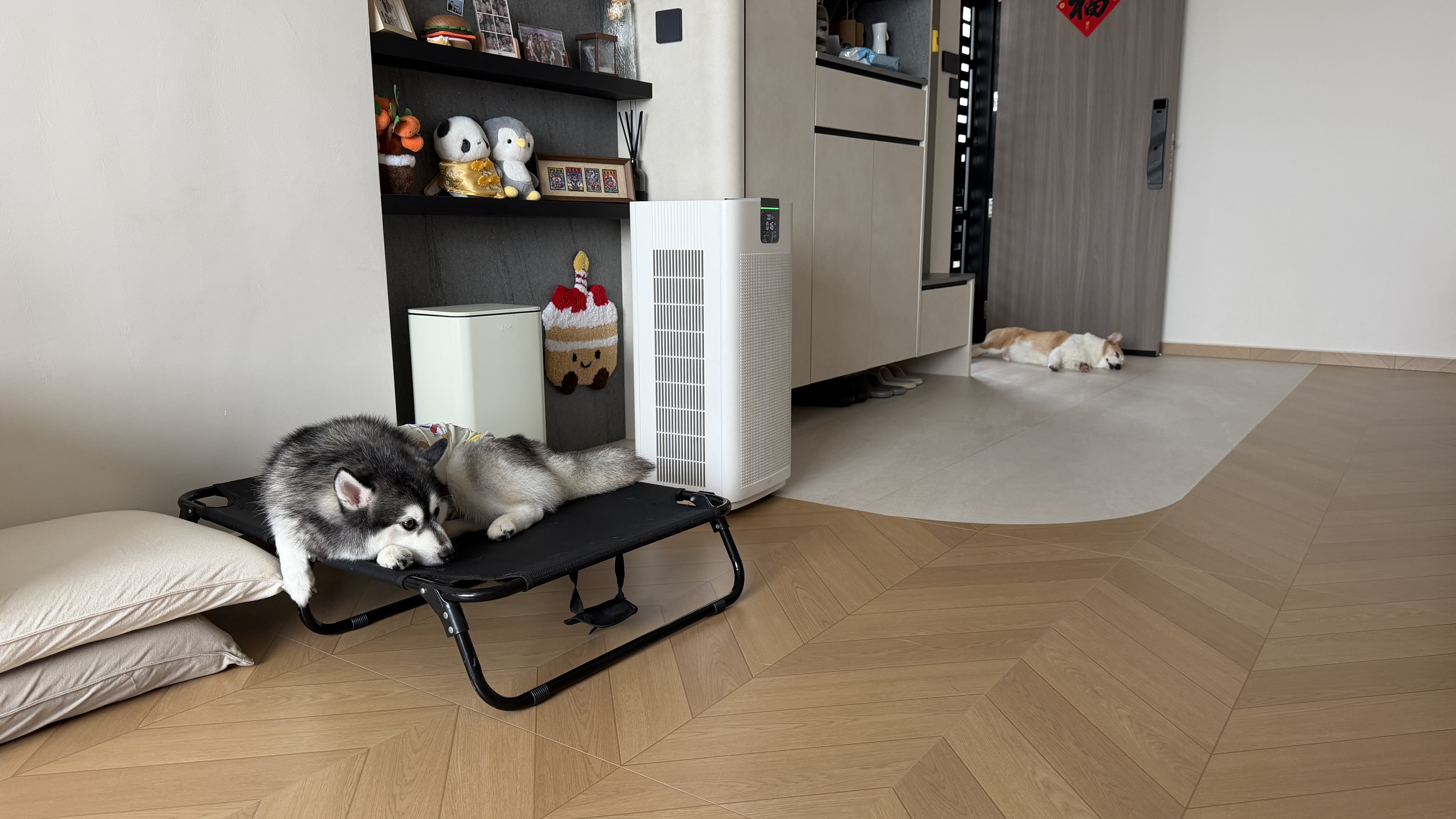 image-5