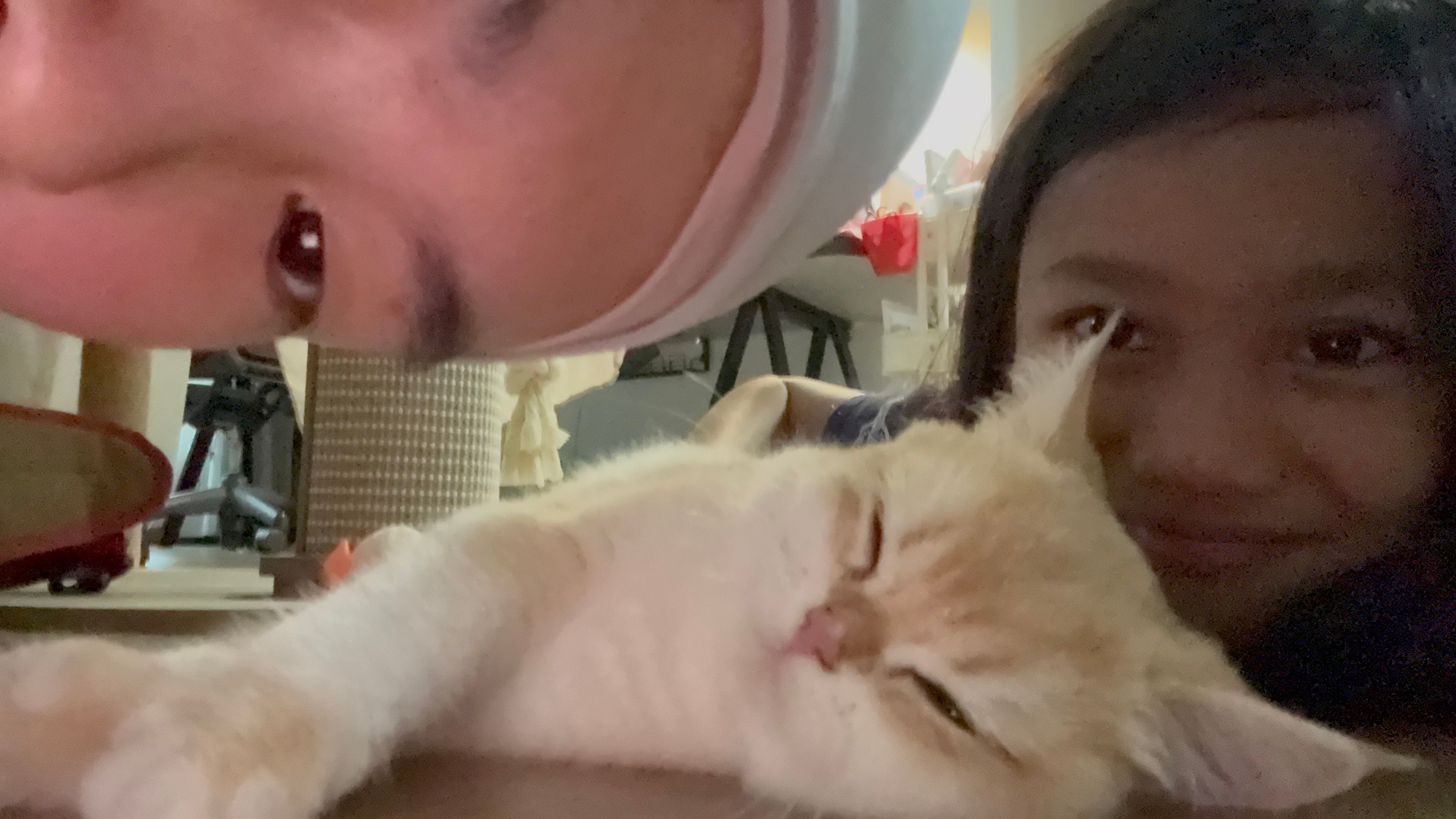 image-4