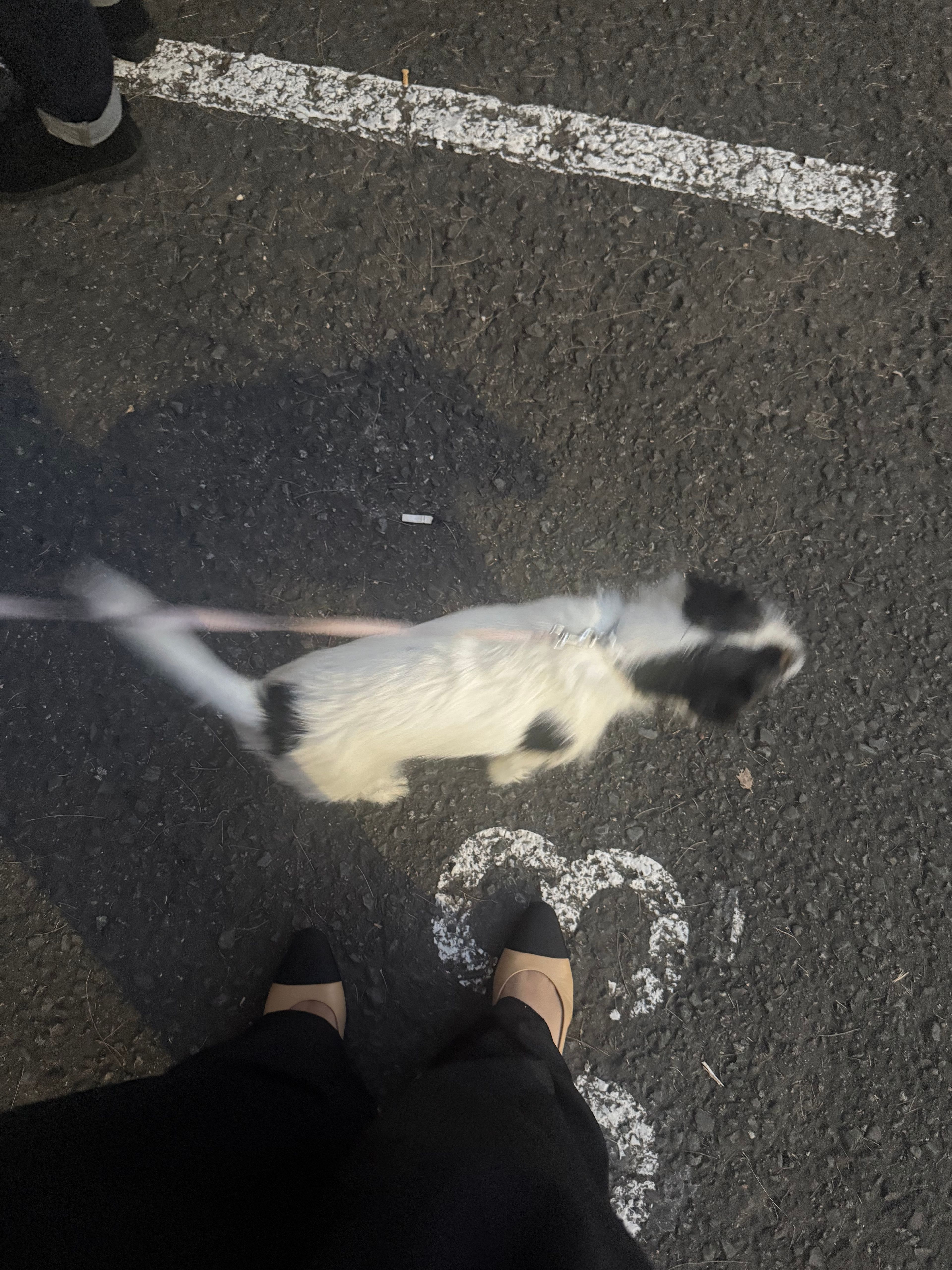 image-5