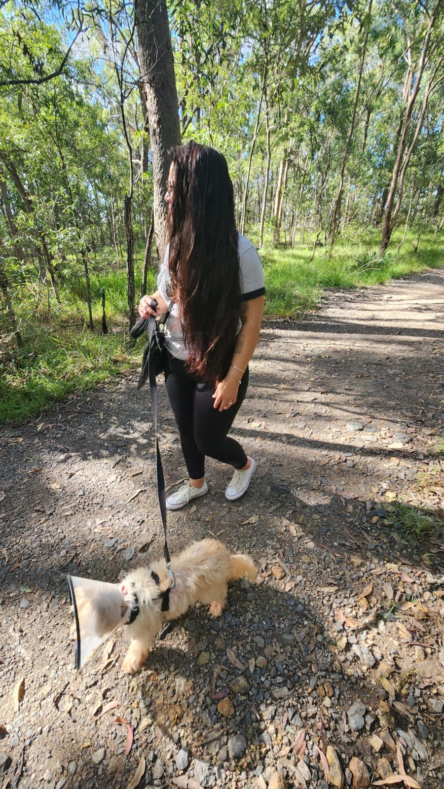 image-8