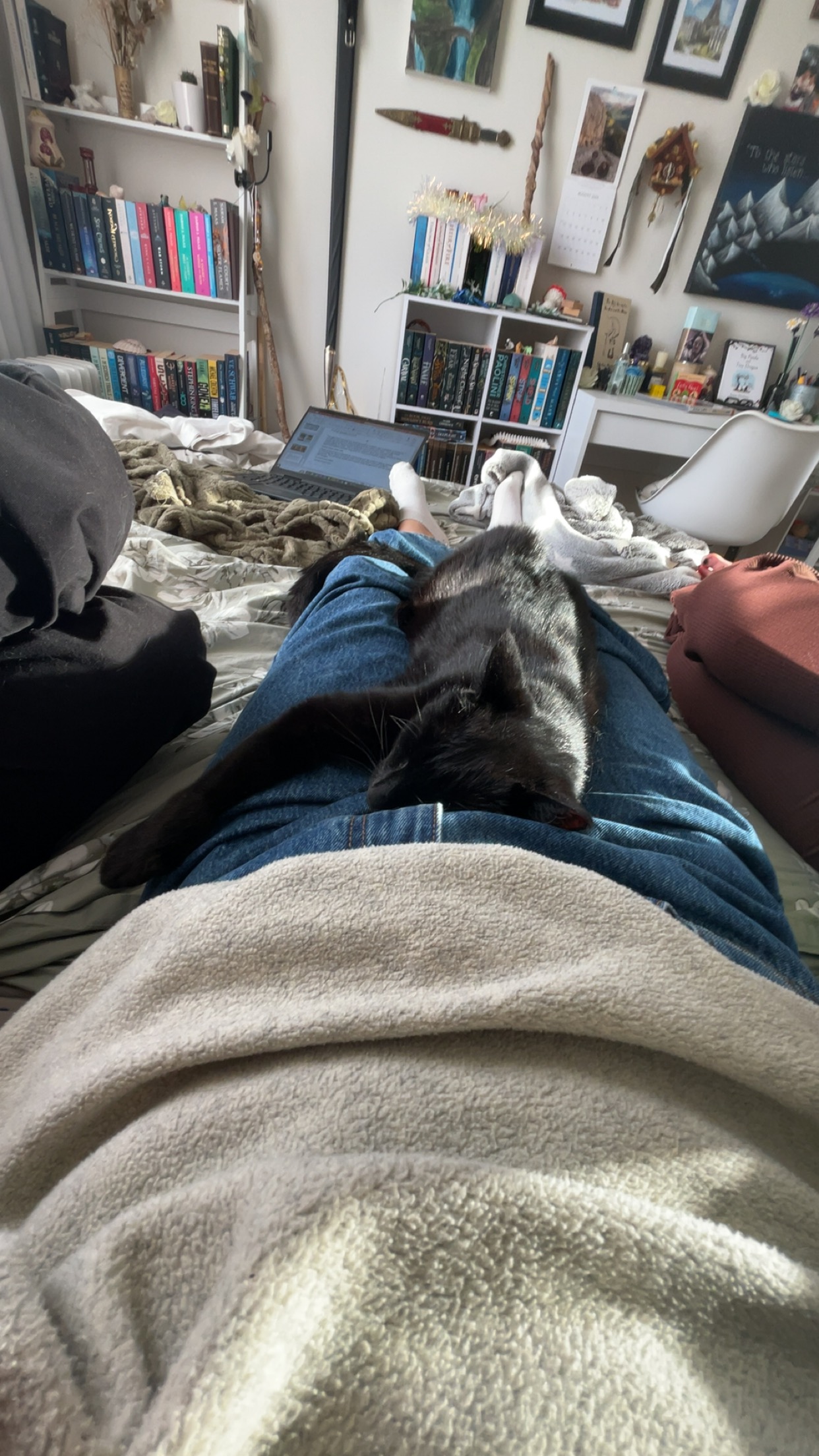 image-7