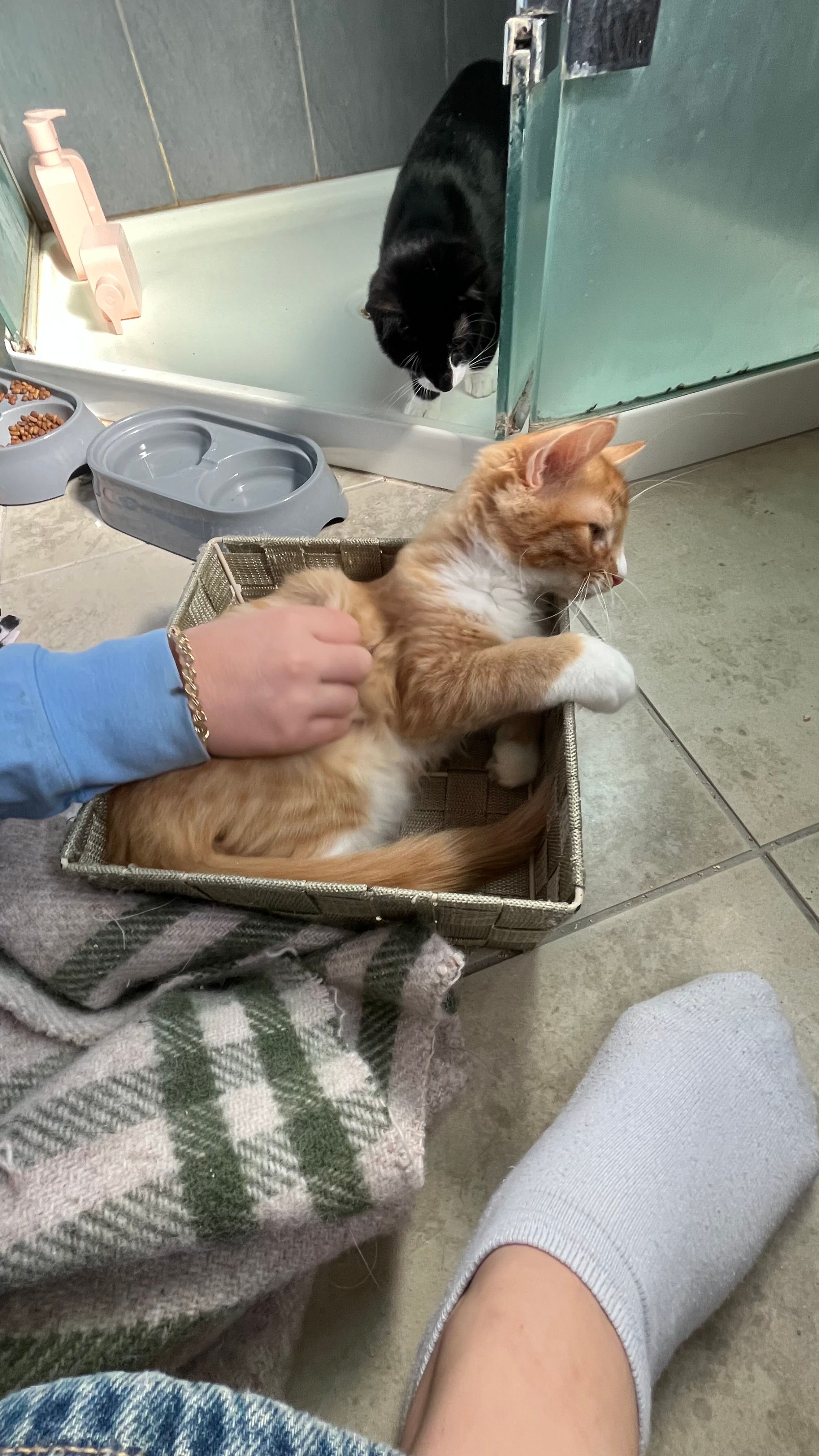 image-0