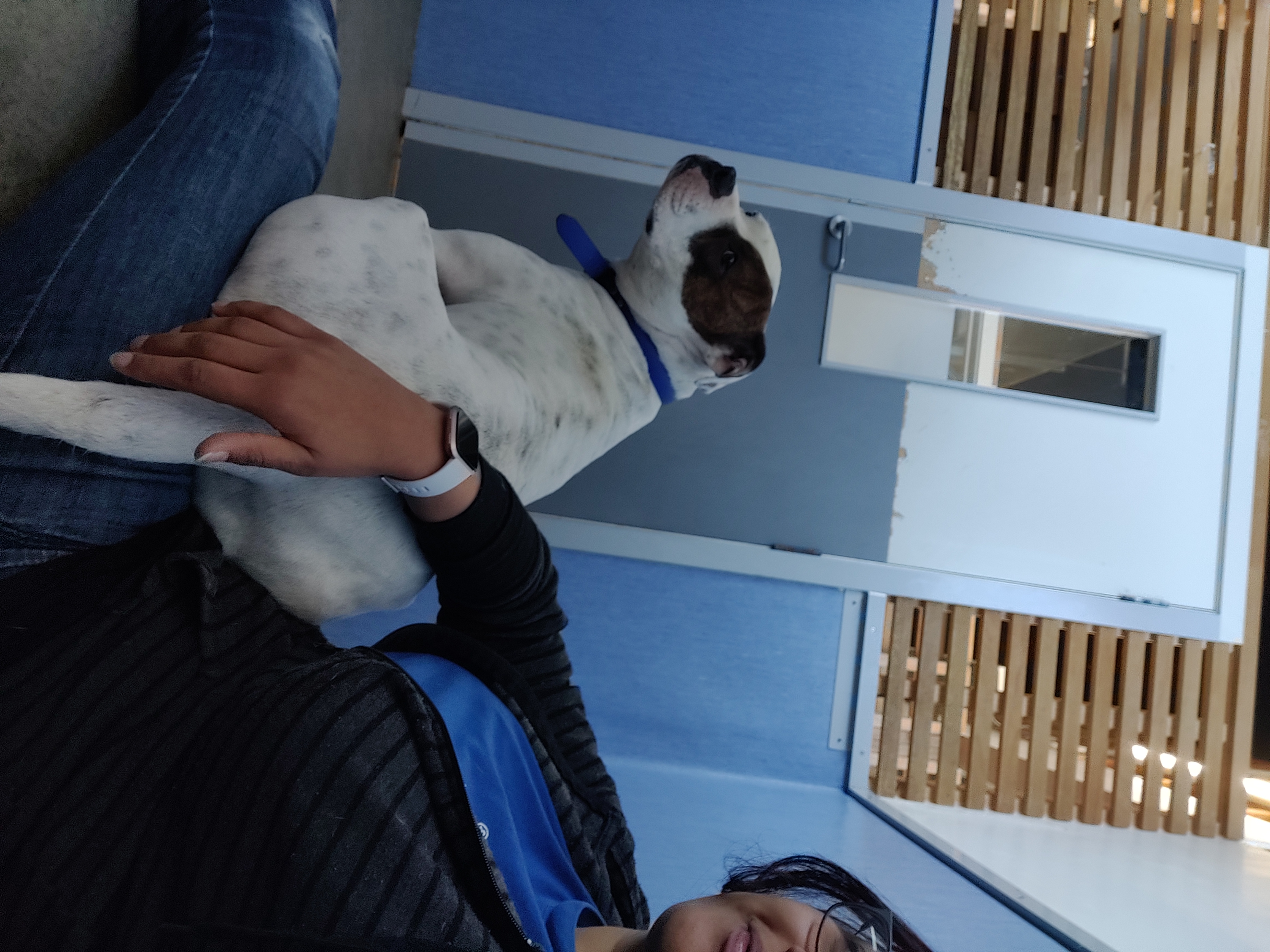 image-4