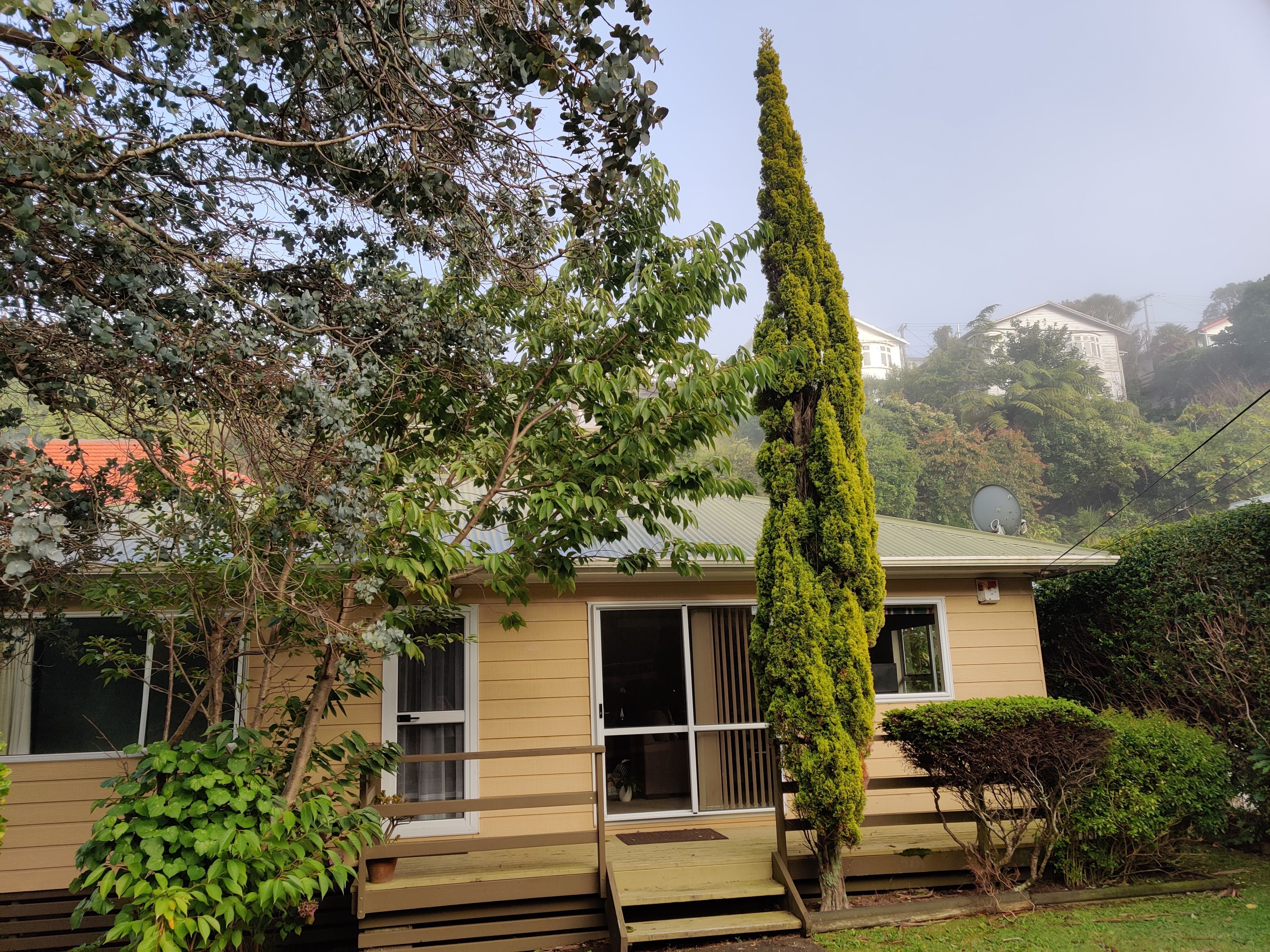 image-11