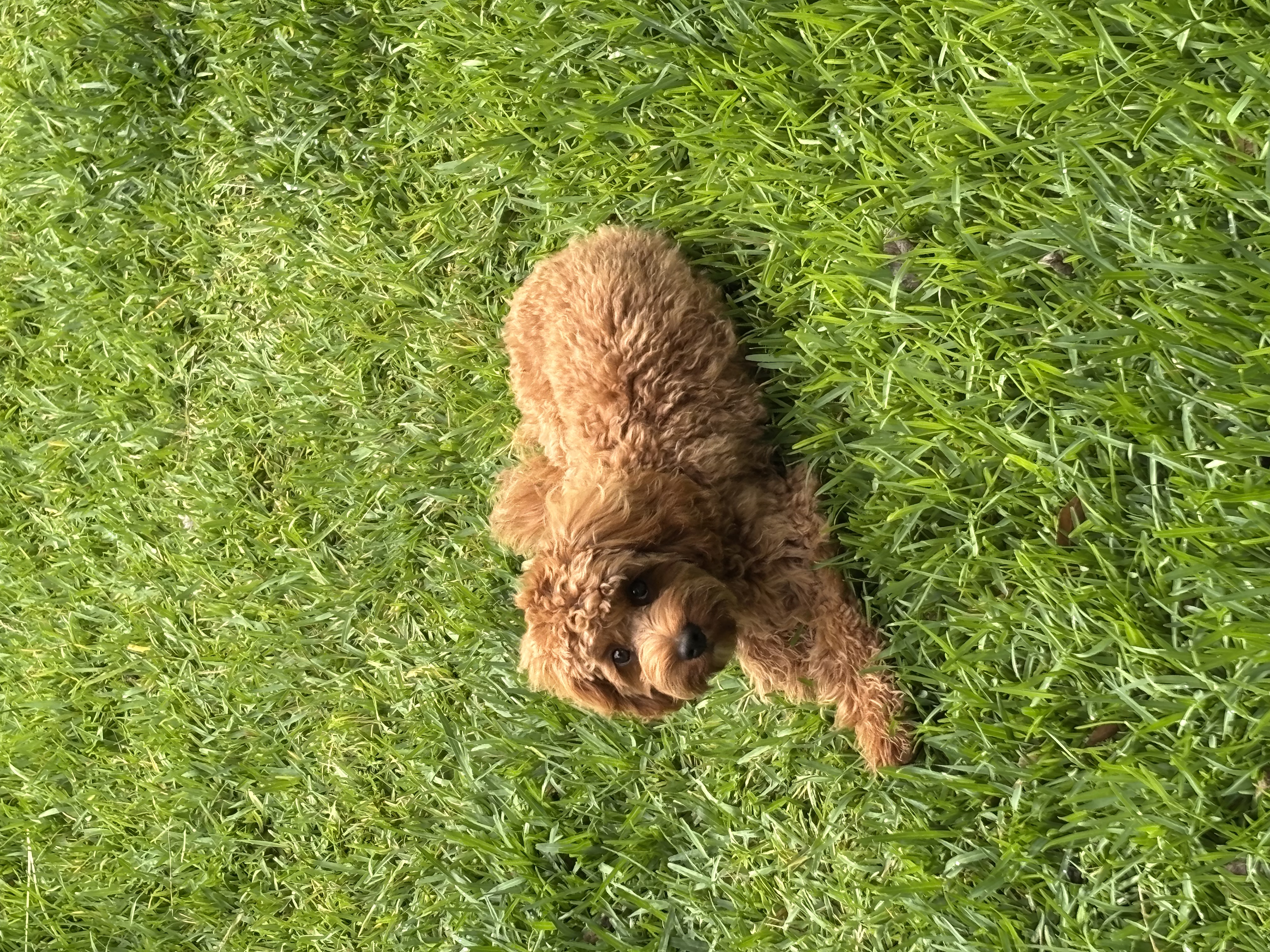 image-3