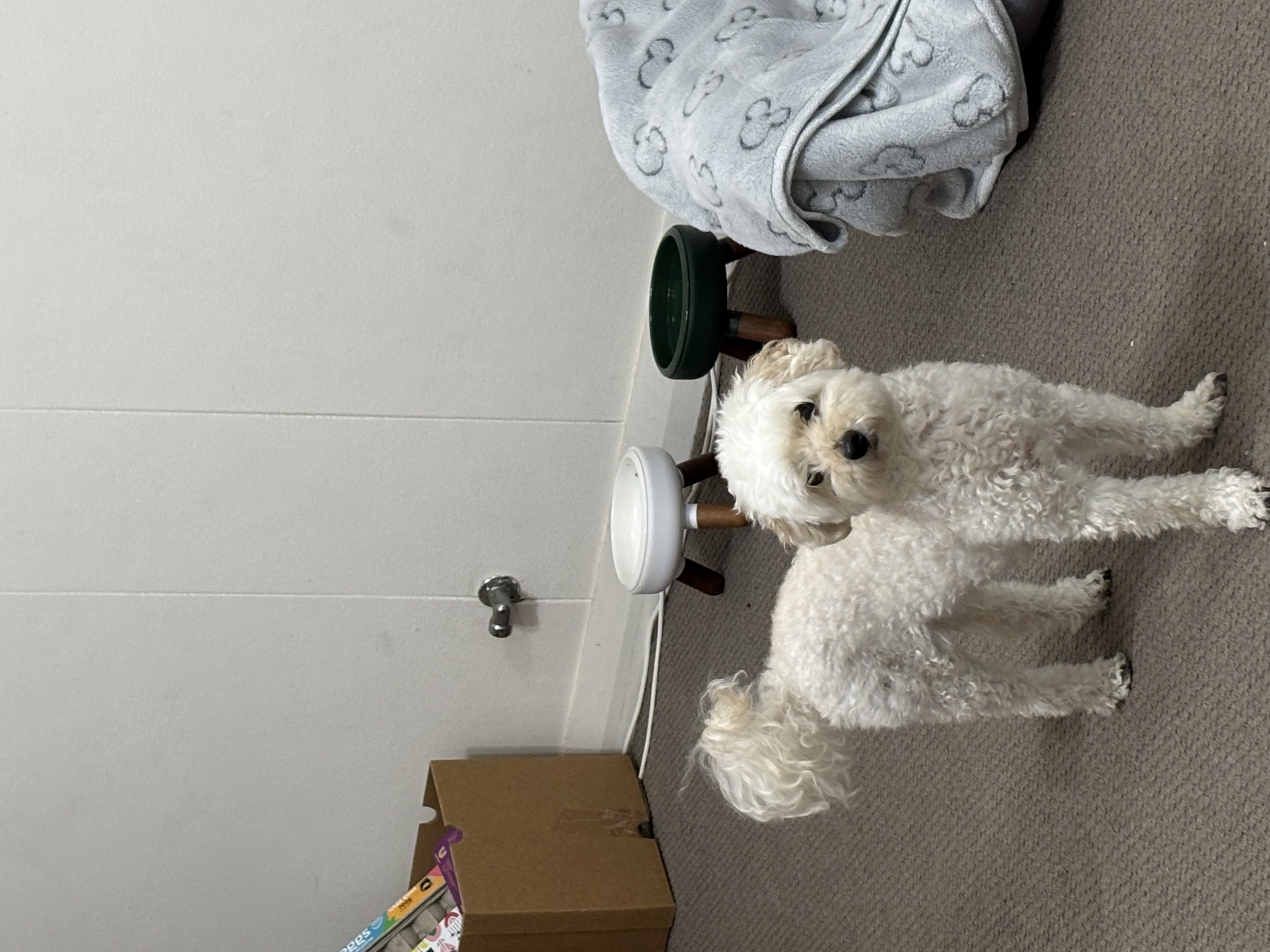 image-4