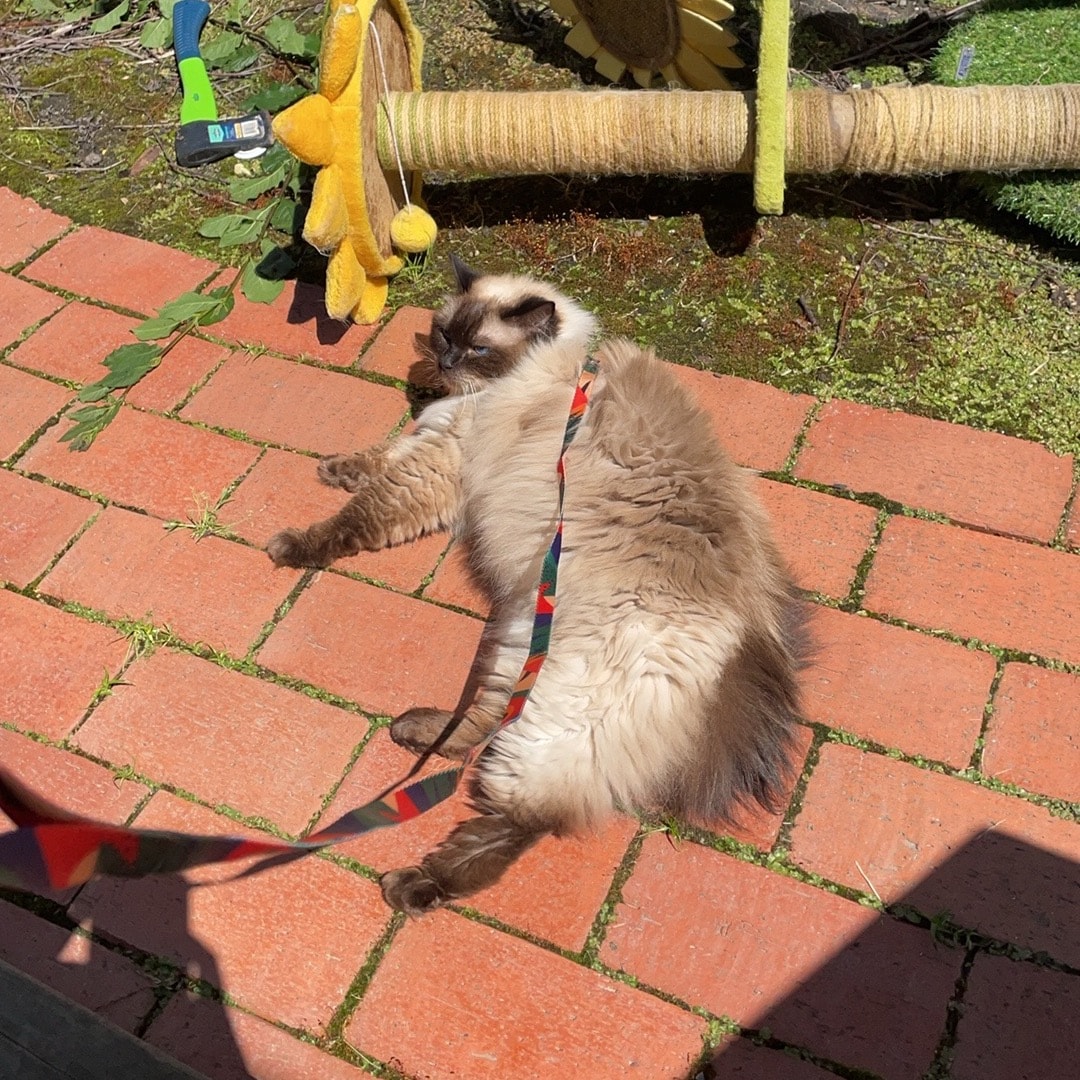 Benben