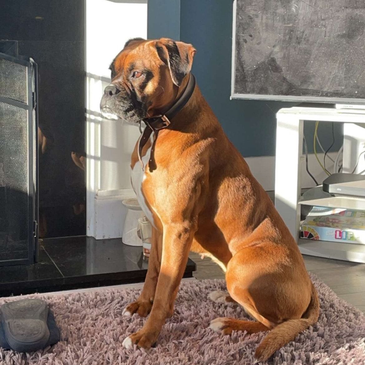 Scooby